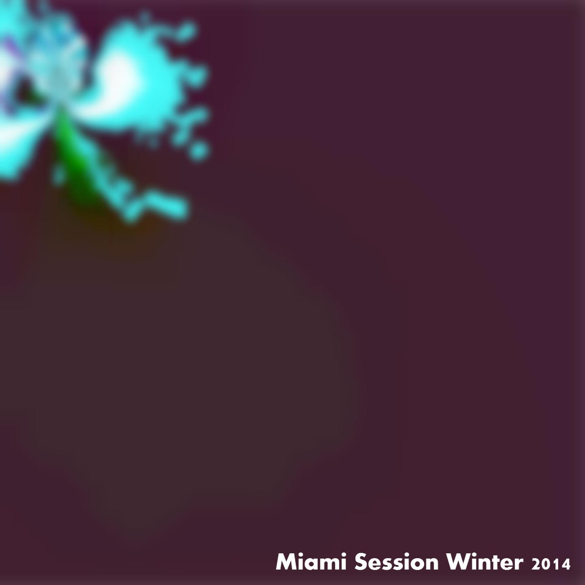 Постер альбома Miami Session Winter 2014