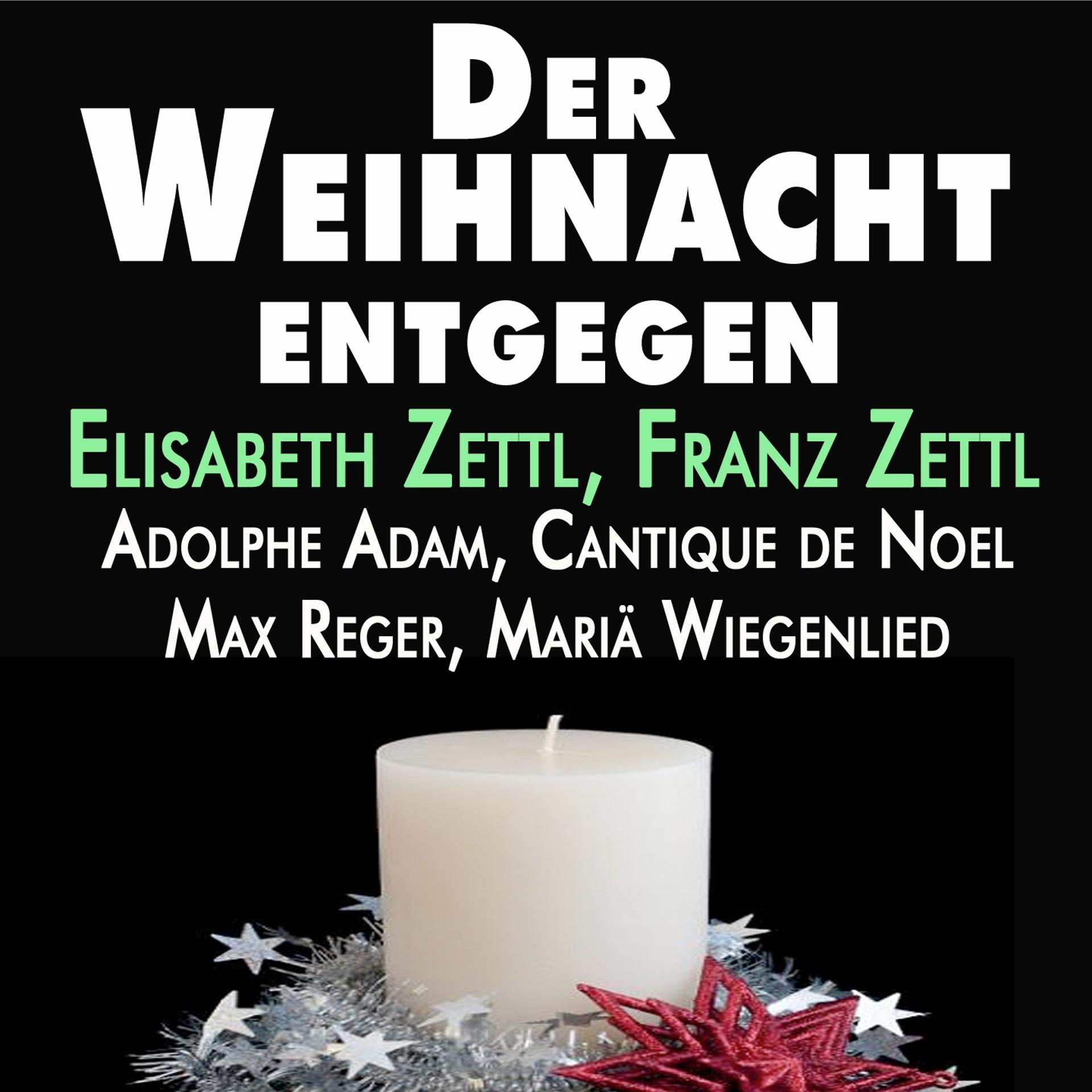 Постер альбома Der Weihnacht Entgegen