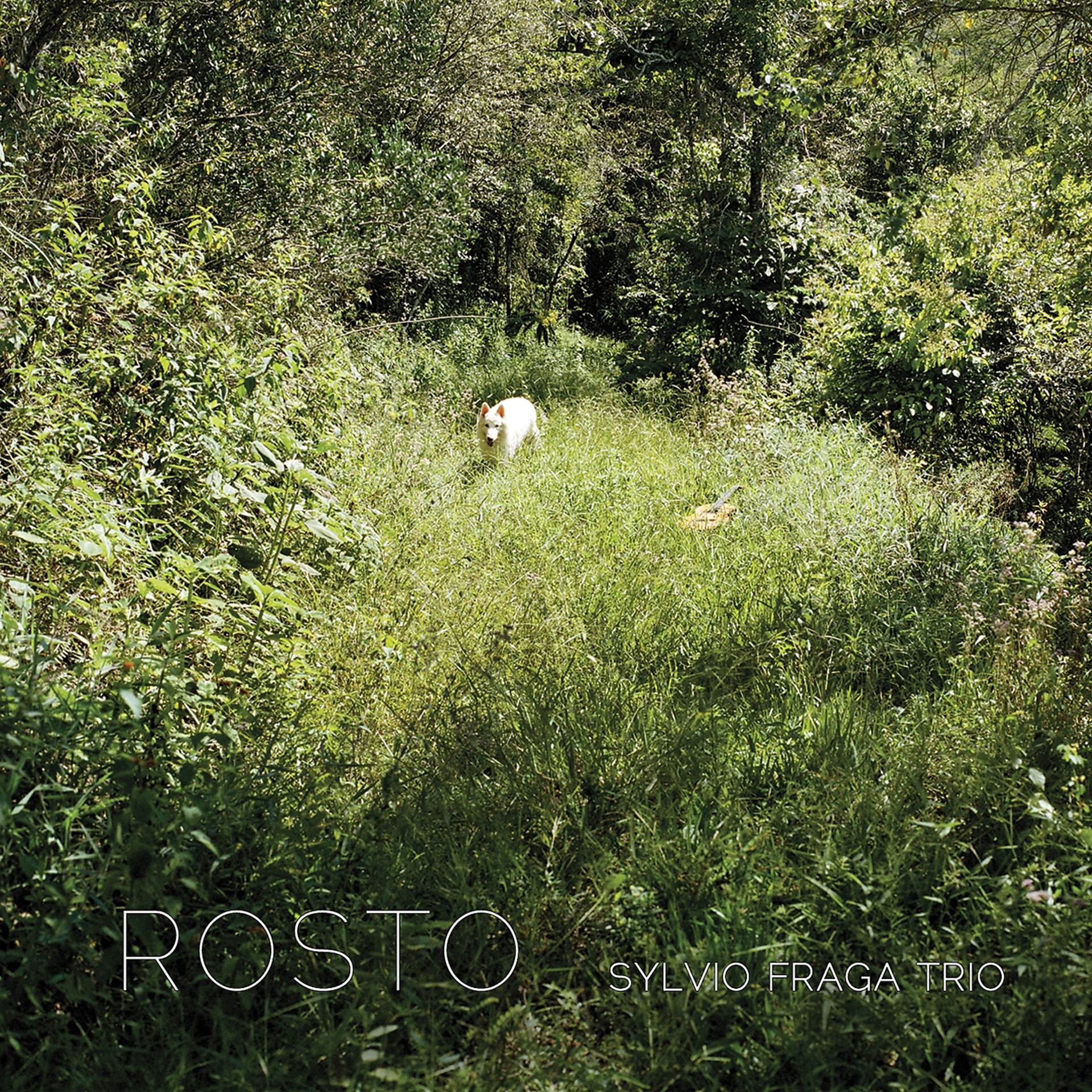 Постер альбома Sylvio Fraga Trio: Rosto