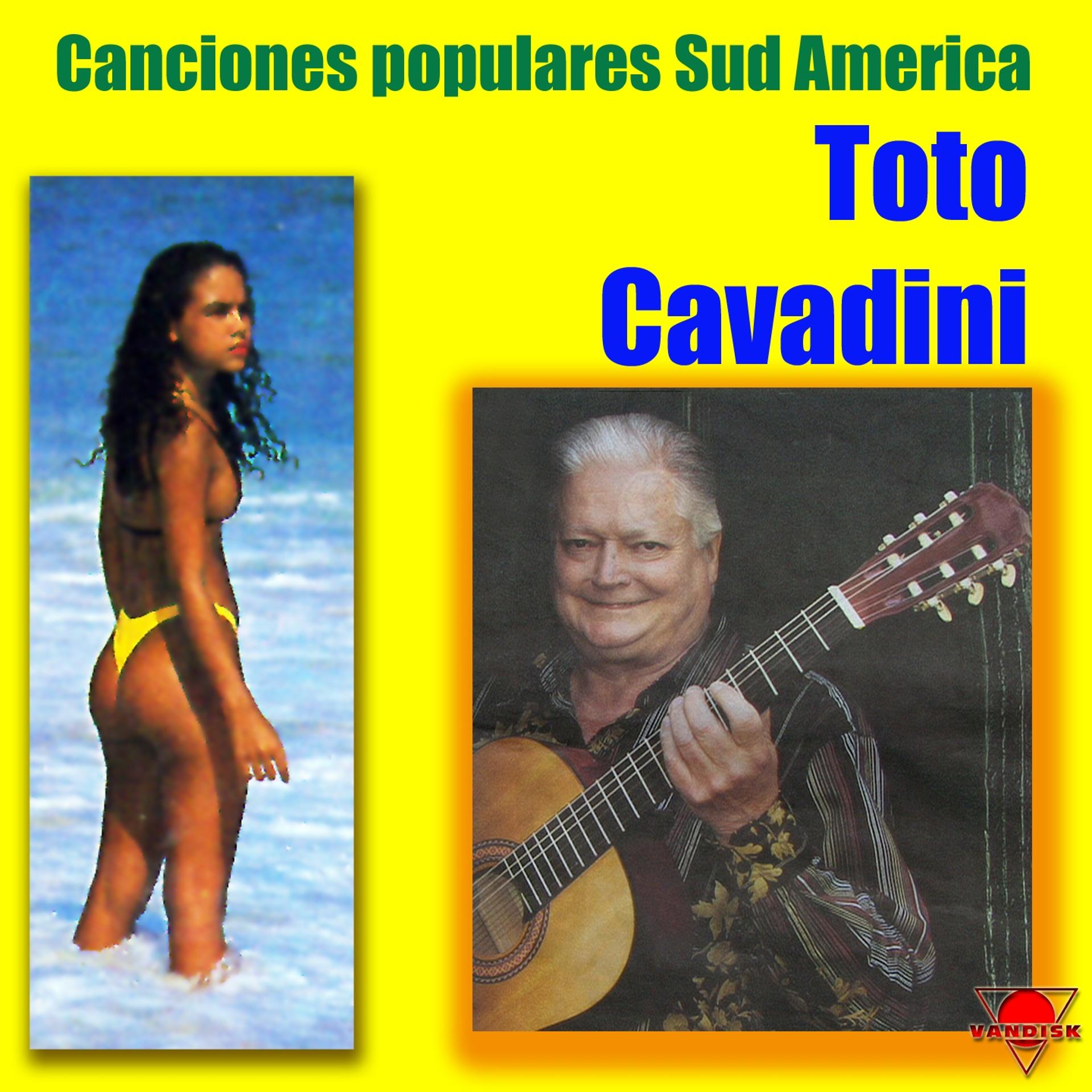 Постер альбома Canciones Populares Sud America