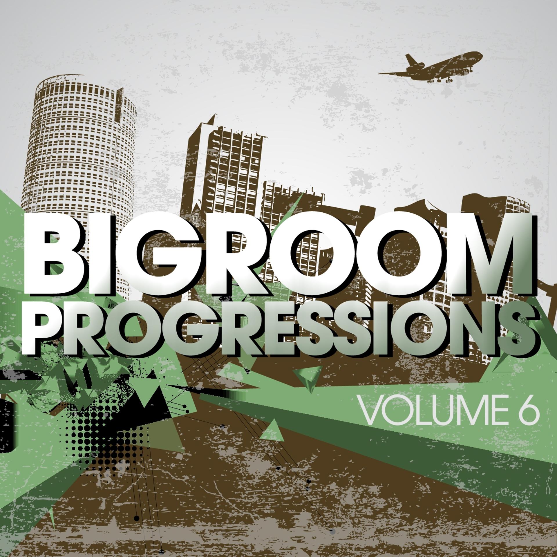 Постер альбома Bigroom Progressions, Vol. 6
