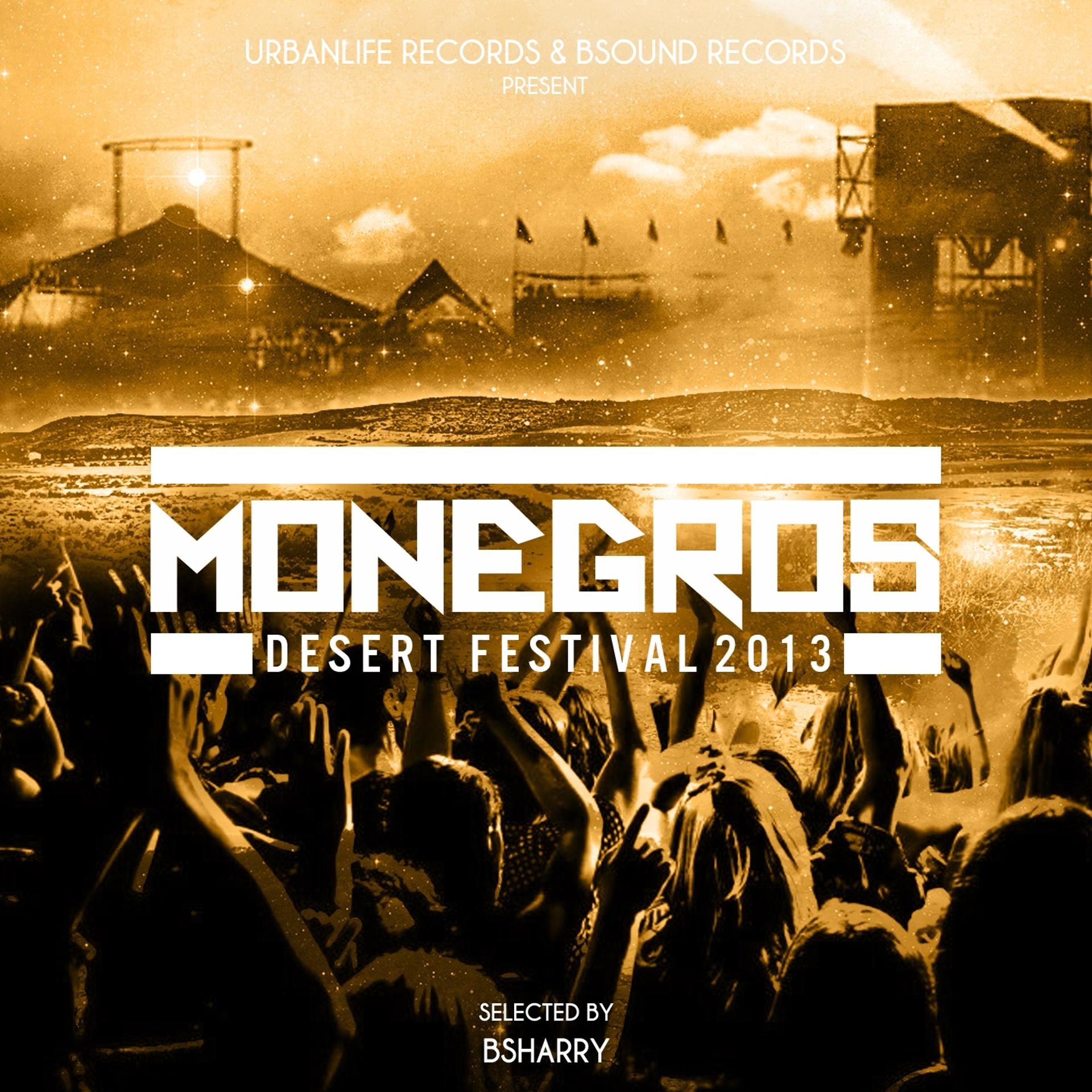 Постер альбома Monegros - Desert Festival 2013