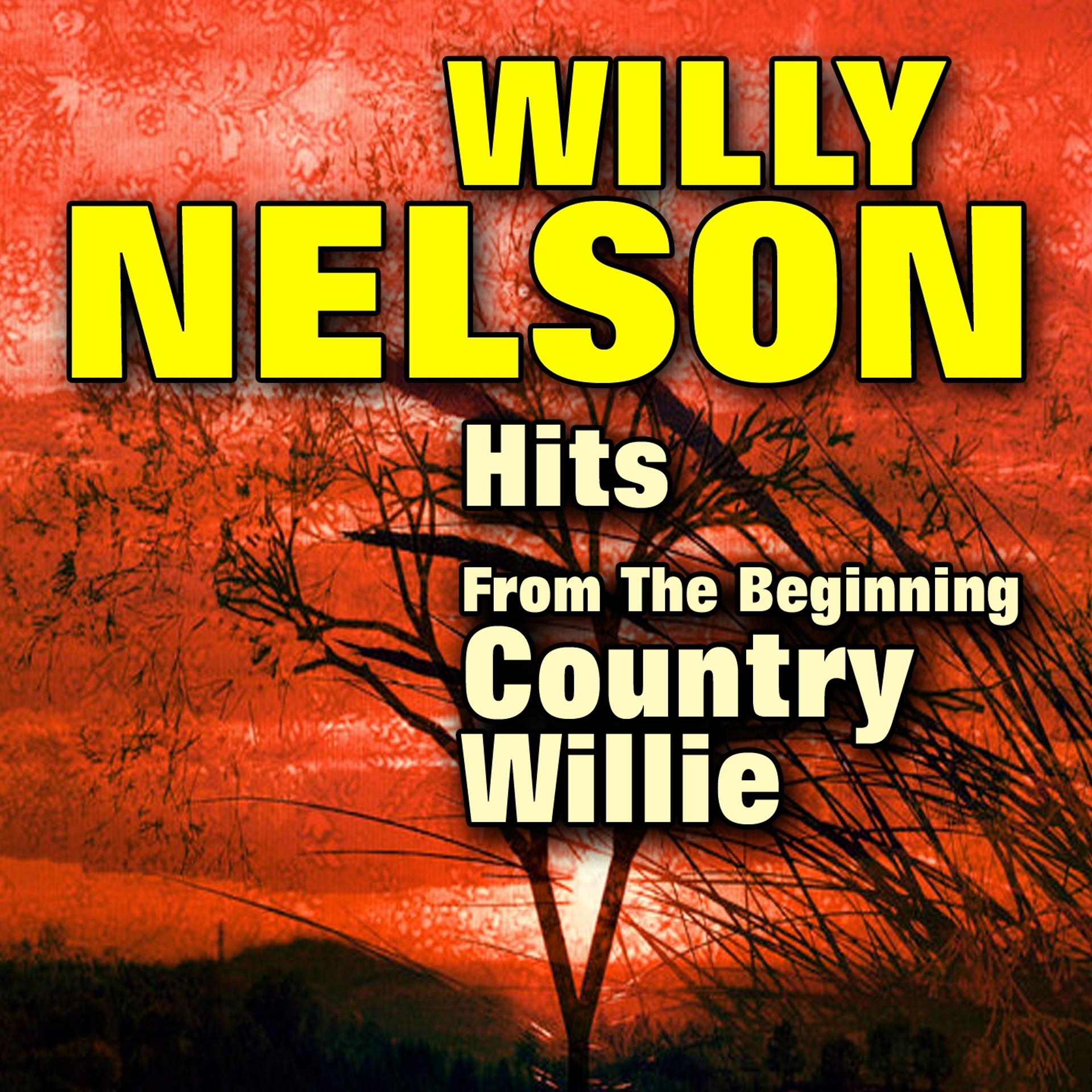 Постер альбома Country Willie (Original Artist Original Songs)