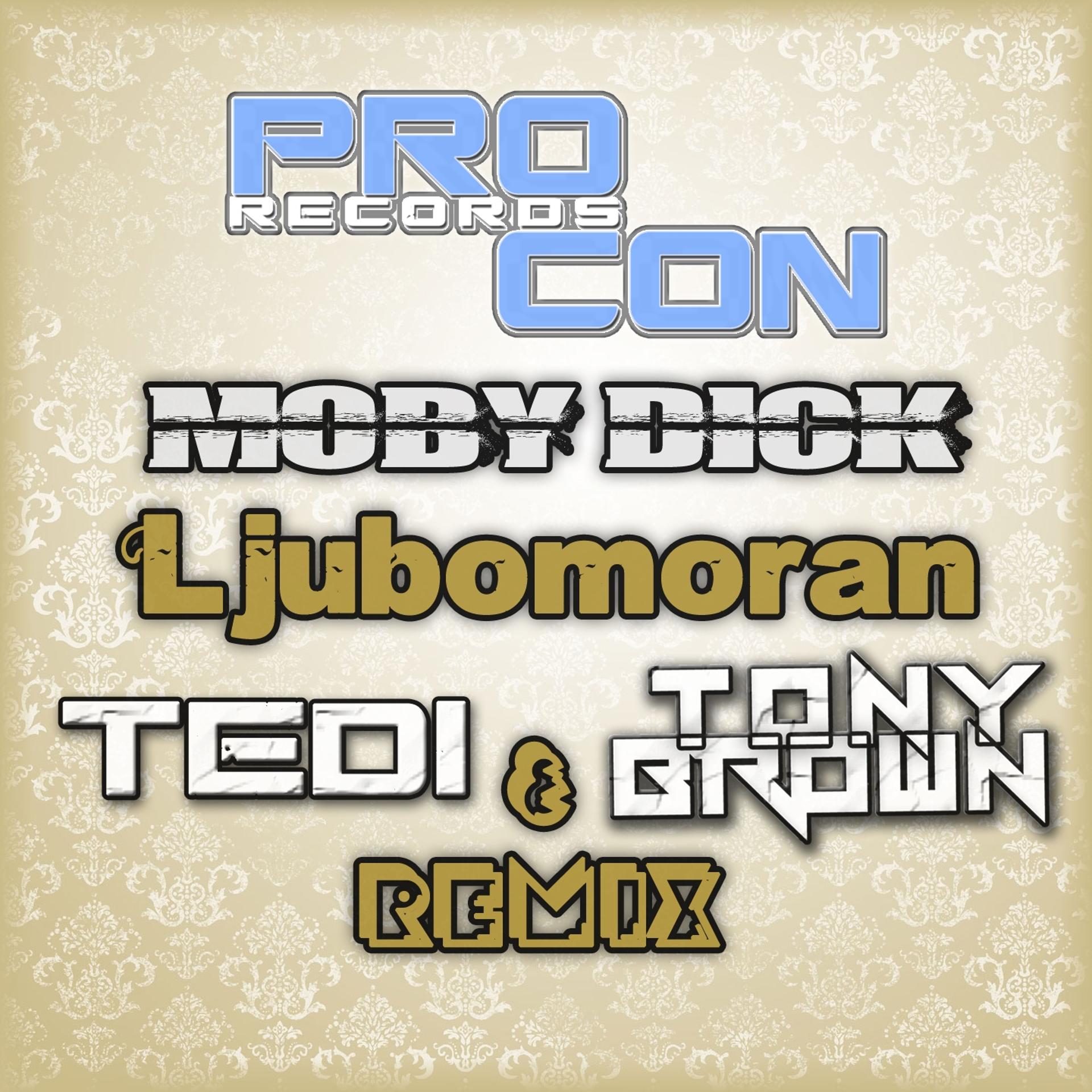 Постер альбома Ljubomoran Remix 2013
