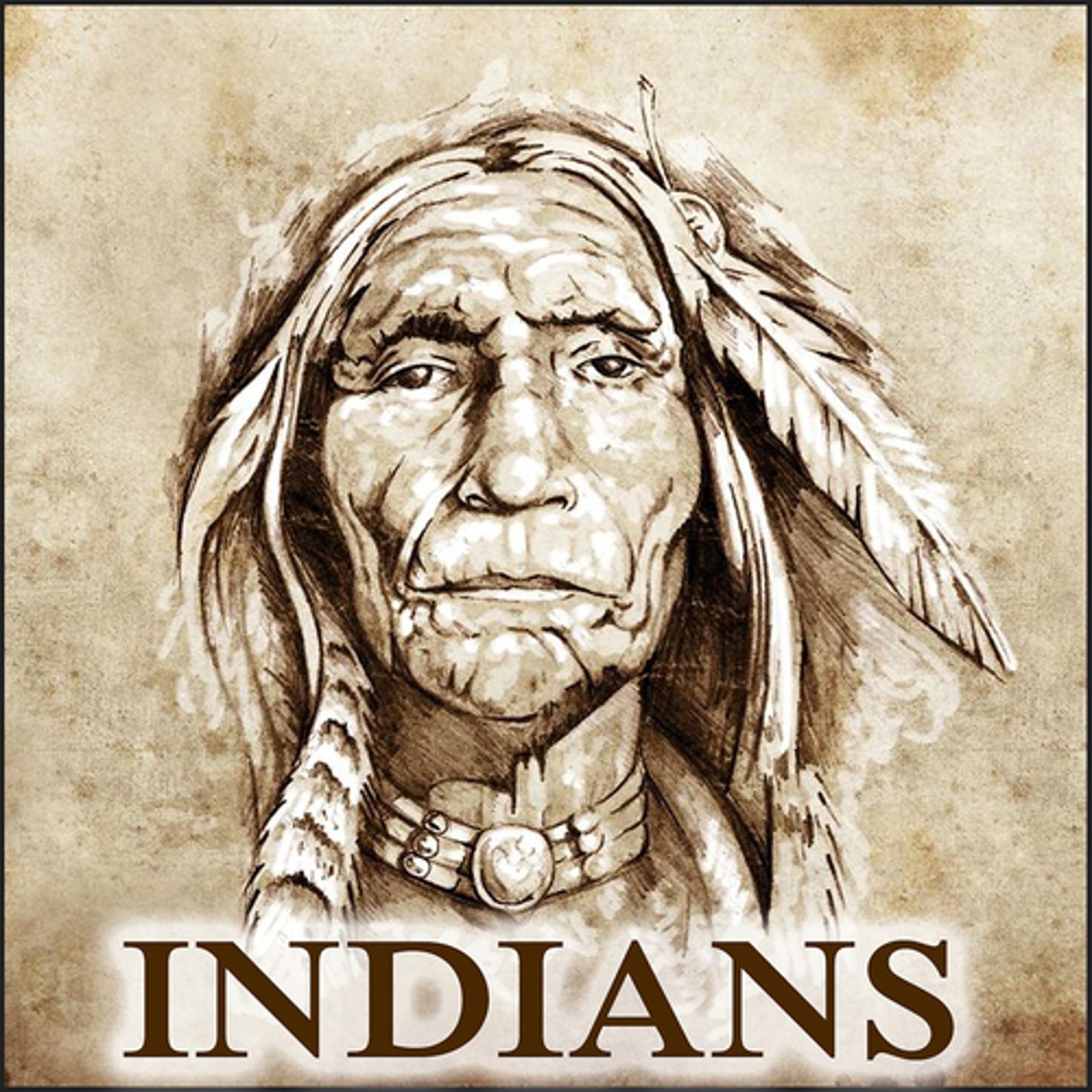 Постер альбома Indians