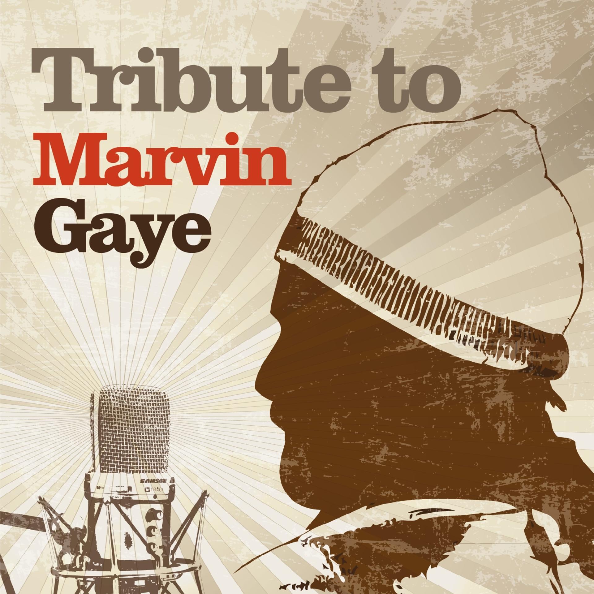 Постер альбома Tribute to Marvin Gaye
