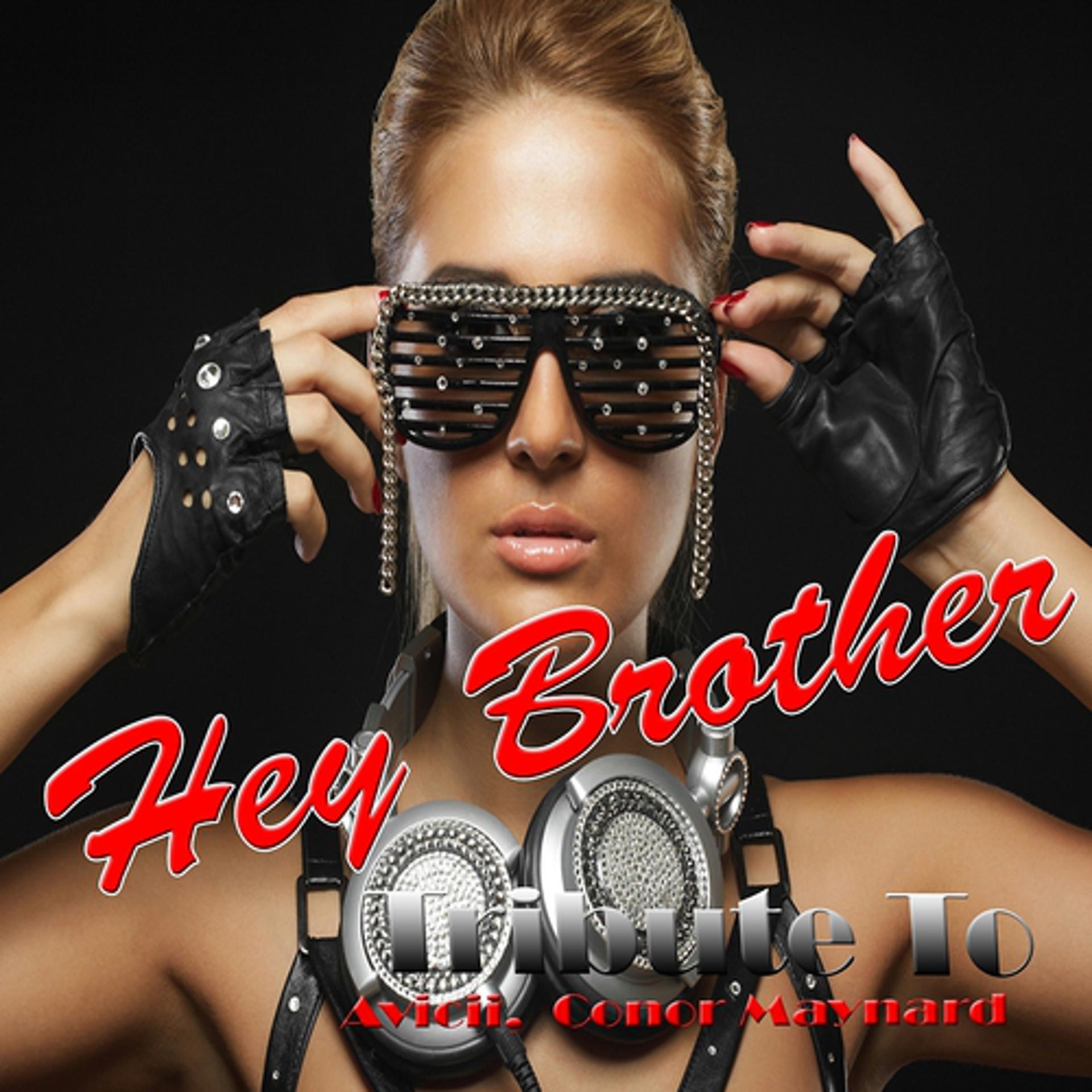 Постер альбома Hey Brother: Tribute to Avicii, Conor Maynard