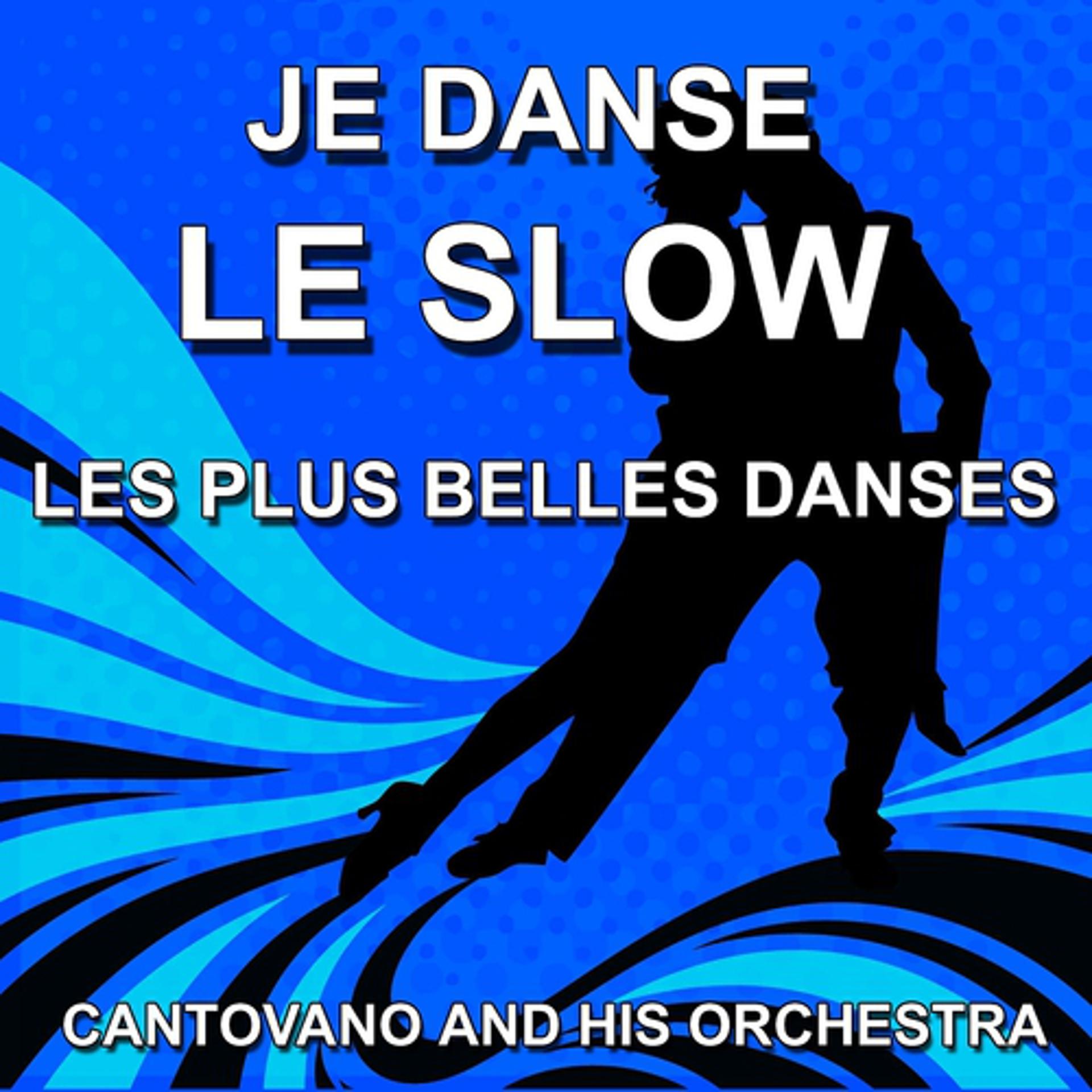Постер альбома Je danse le Slow