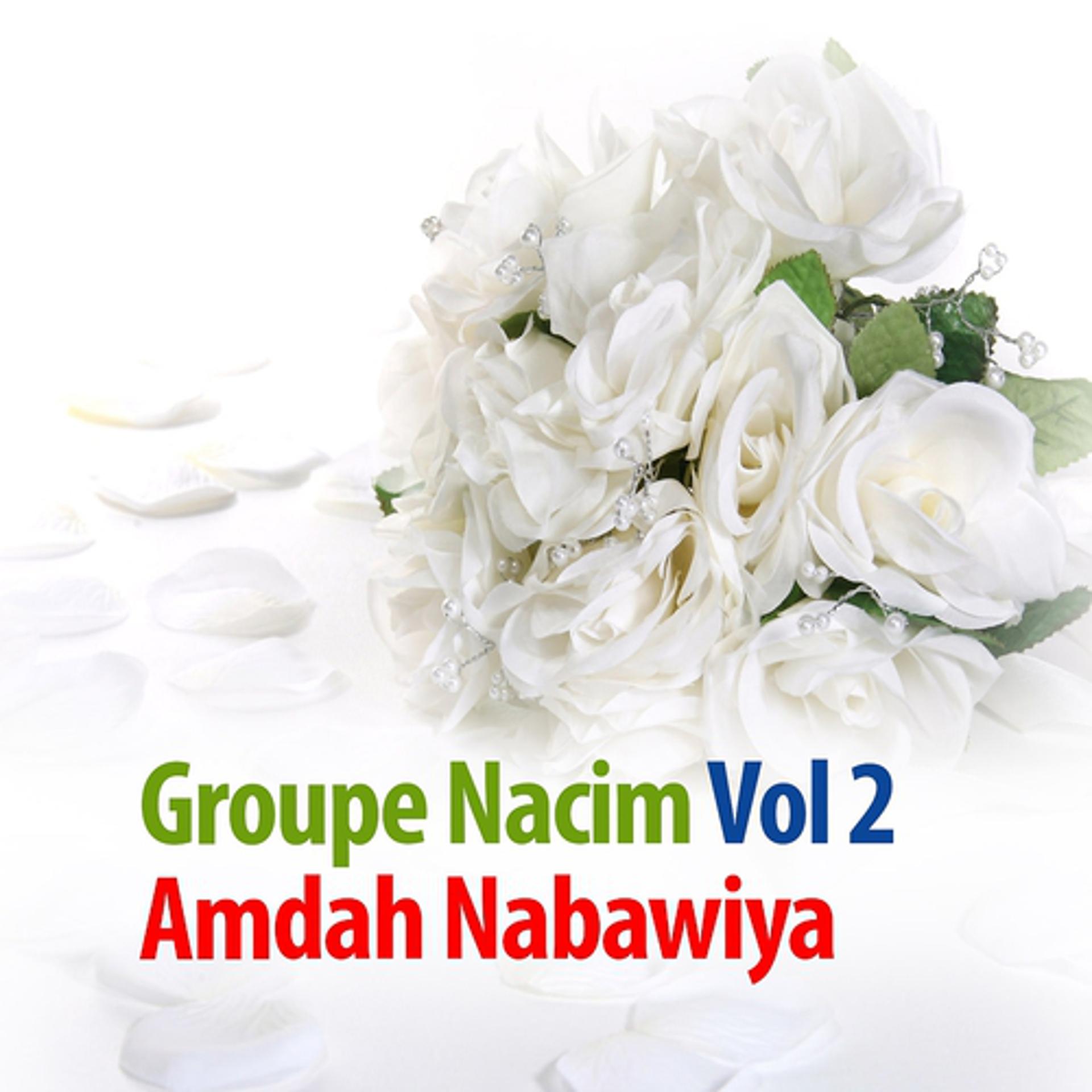 Постер альбома Amdah Nabawiya, vol. 2