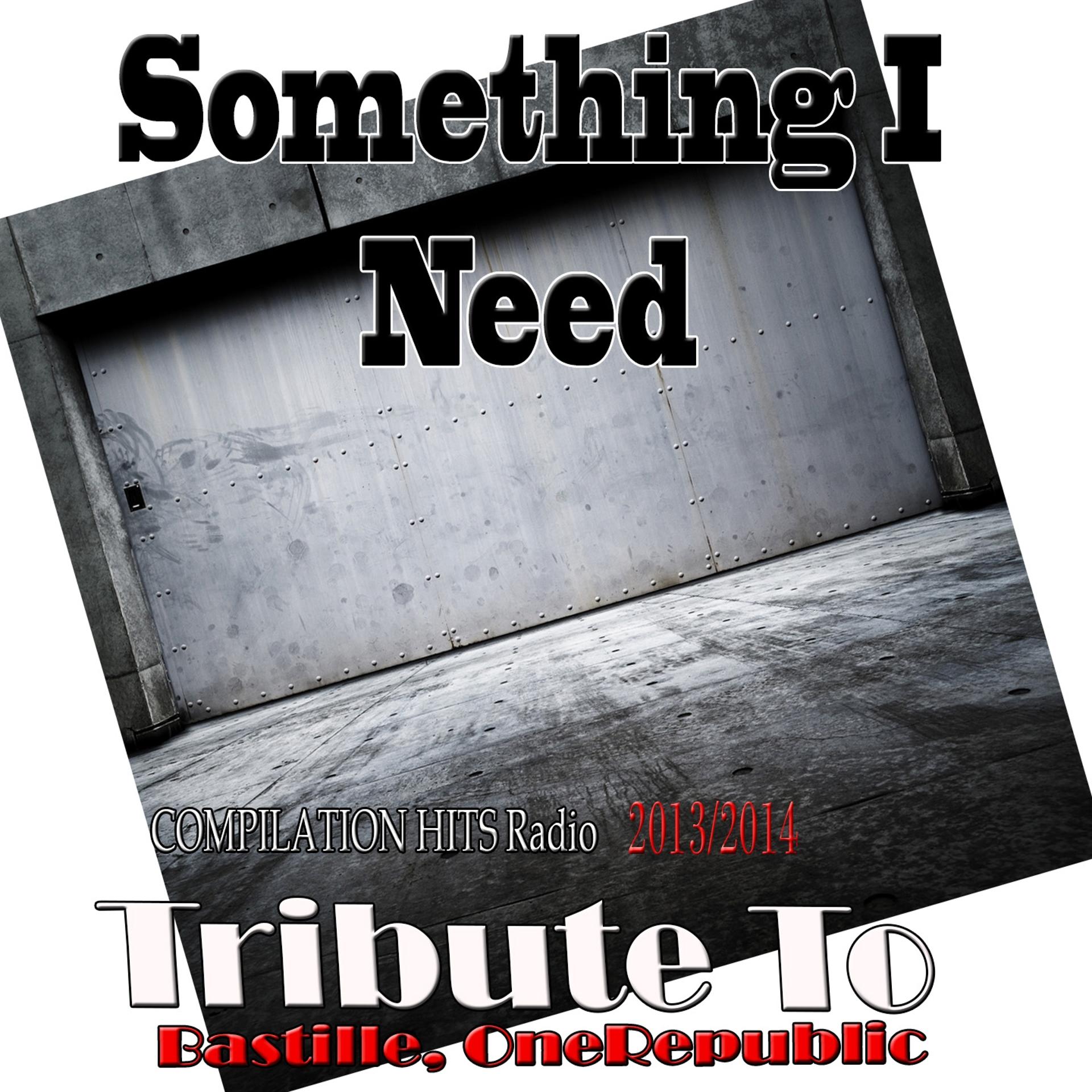 Постер альбома Something I Need: Tribute to Bastille, Onerepublic
