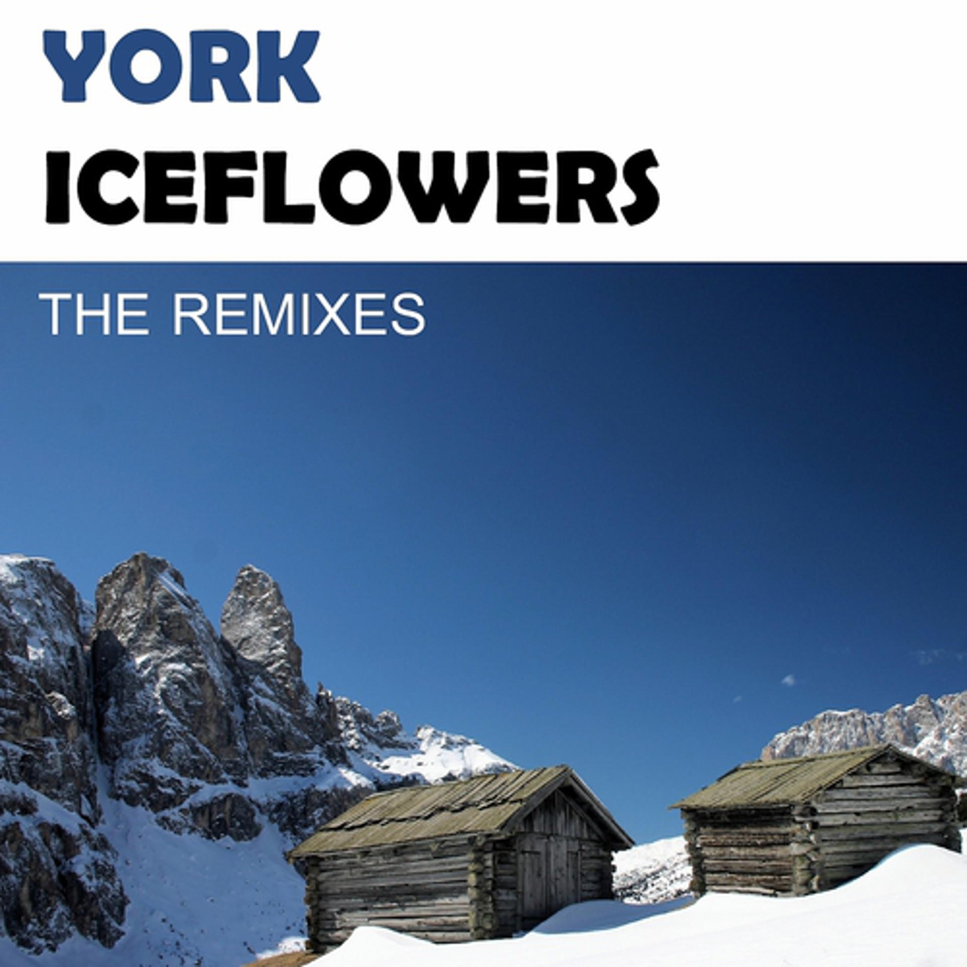 Постер альбома Iceflowers