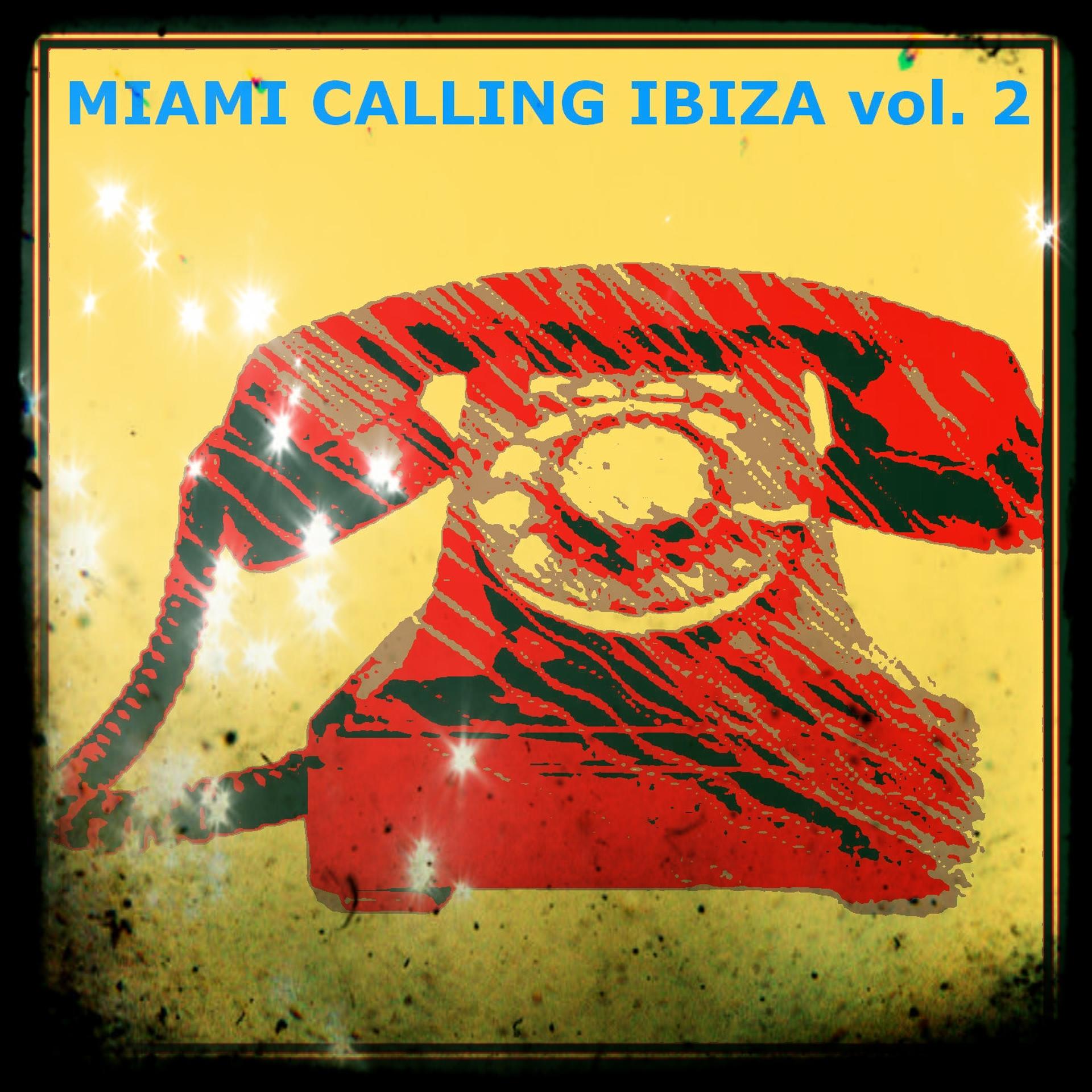 Постер альбома Miami Ibiza Calling, Vol. 2