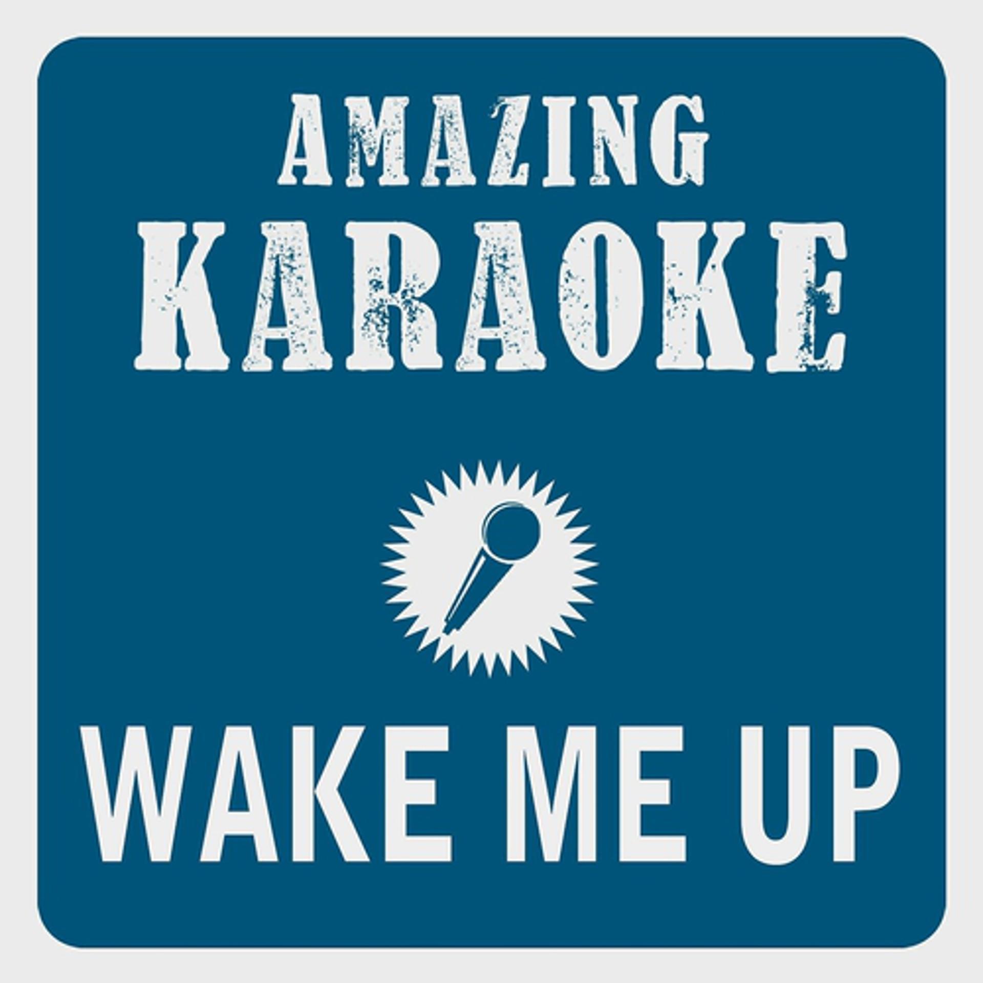 Постер альбома Wake Me Up (Radio Edit) [Karaoke Version]