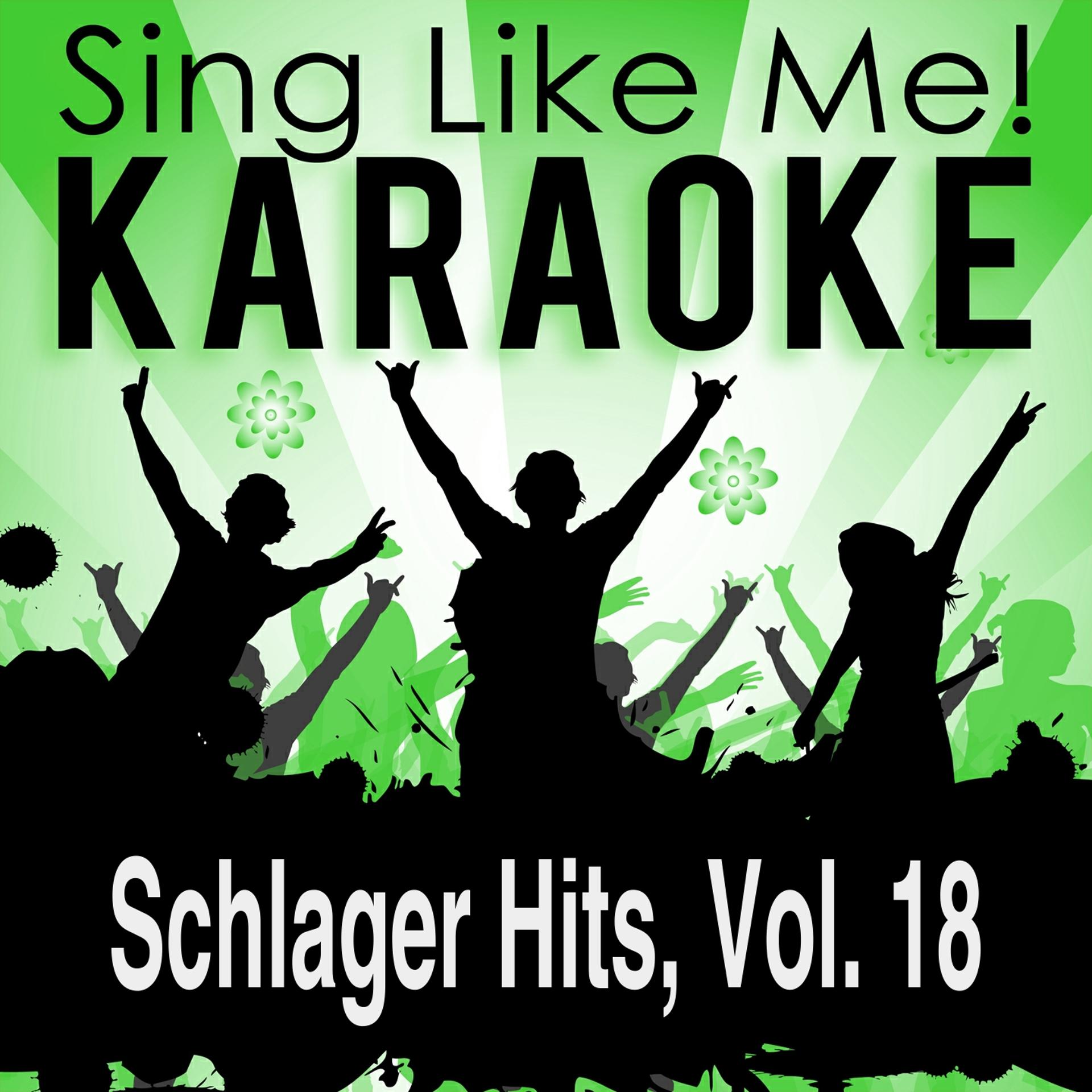 Постер альбома Schlager Hits, Vol. 18 (Karaoke Version)