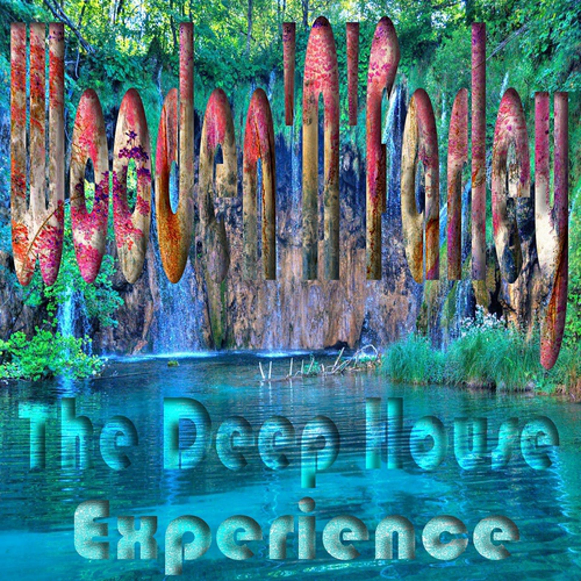 Постер альбома The Deep House Experience