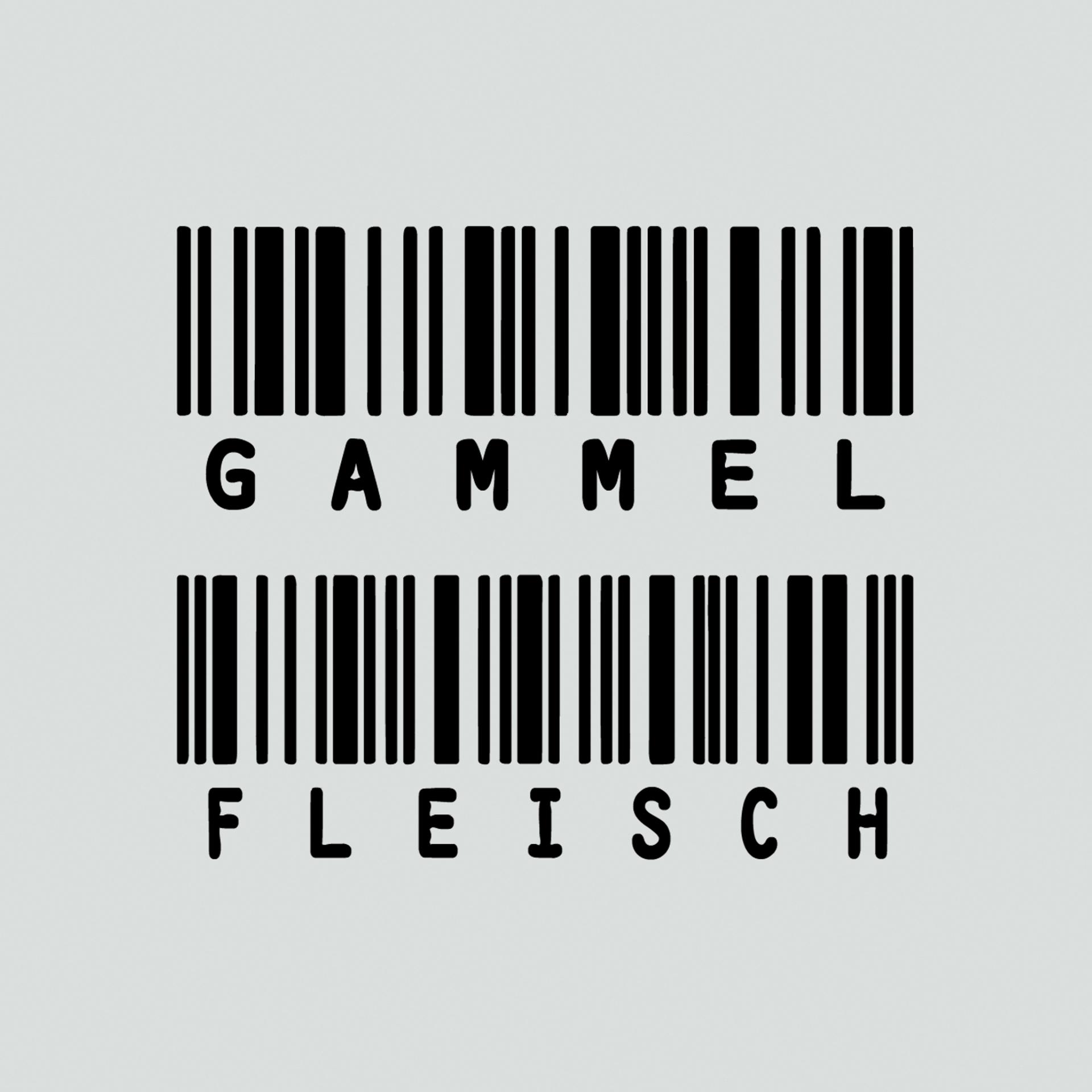 Постер альбома Gammelfleisch