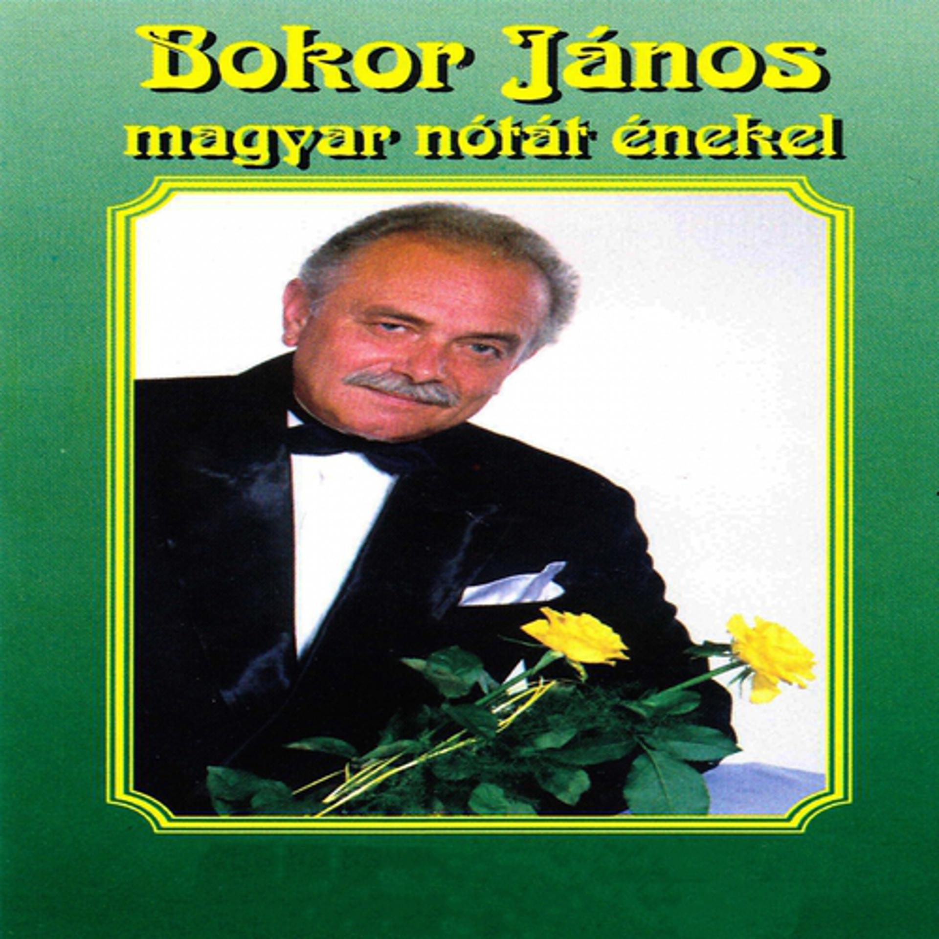 Постер альбома Magyar Nóták