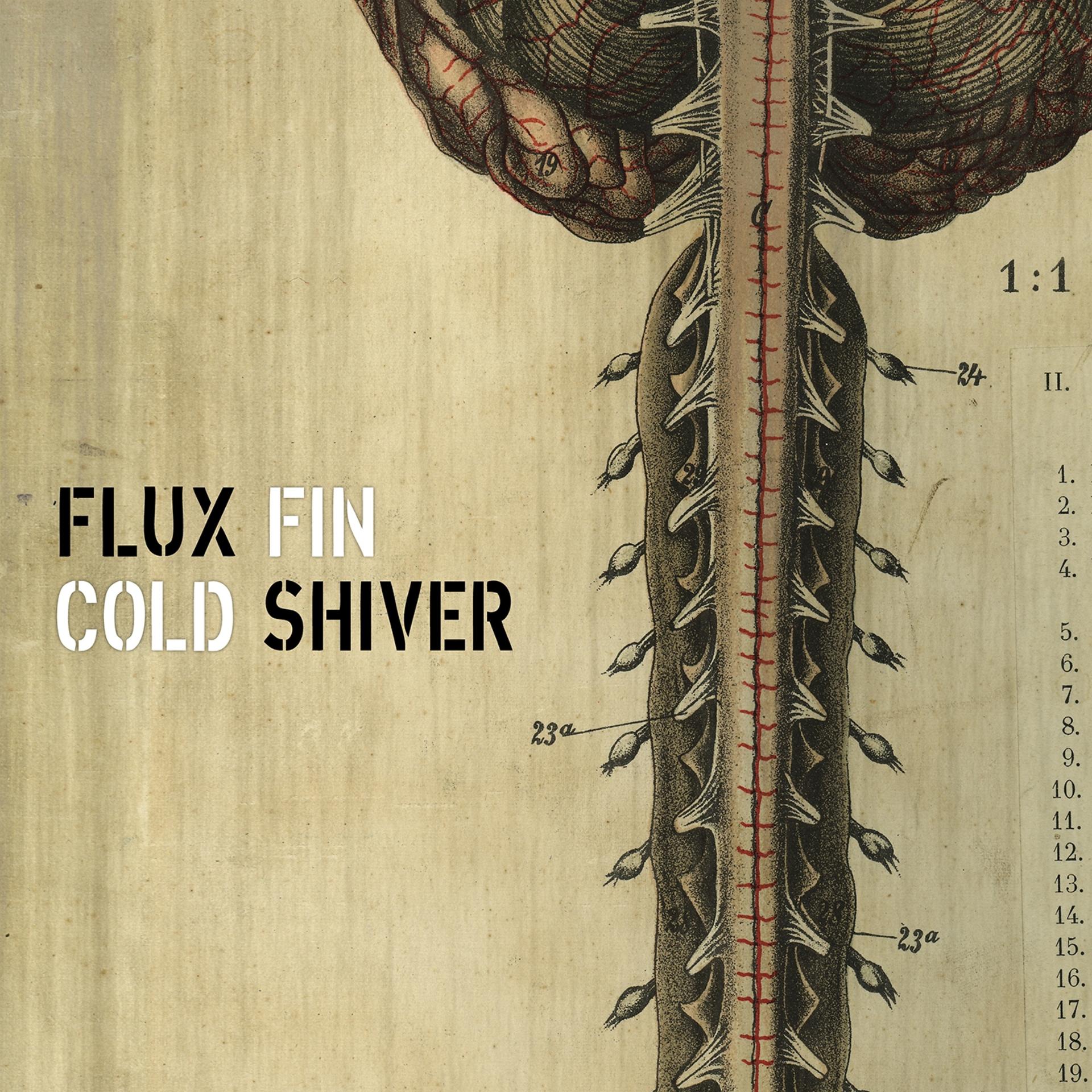 Постер альбома Cold Shiver