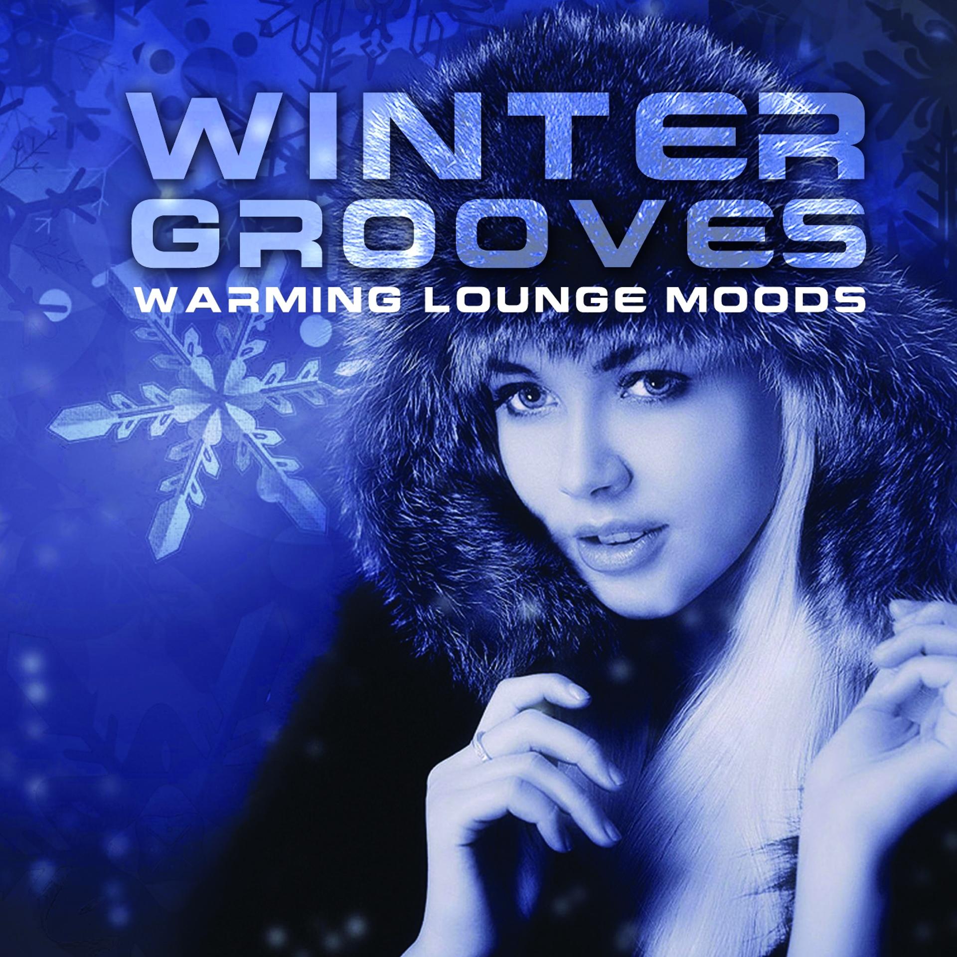 Постер альбома Winter Grooves Warming Lounge Moods