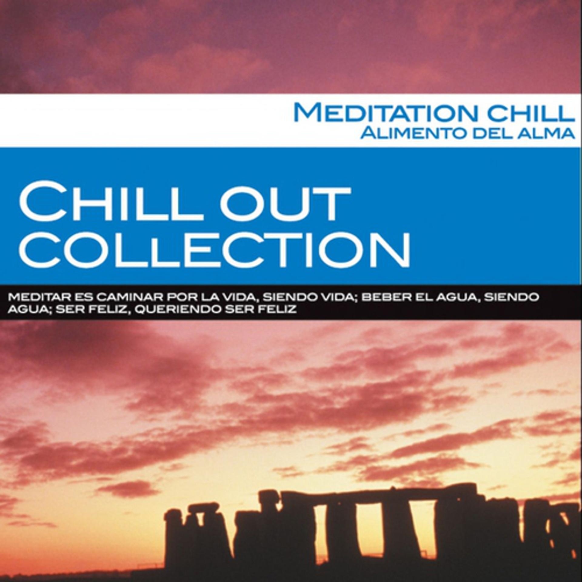 Постер альбома Meditation Chill