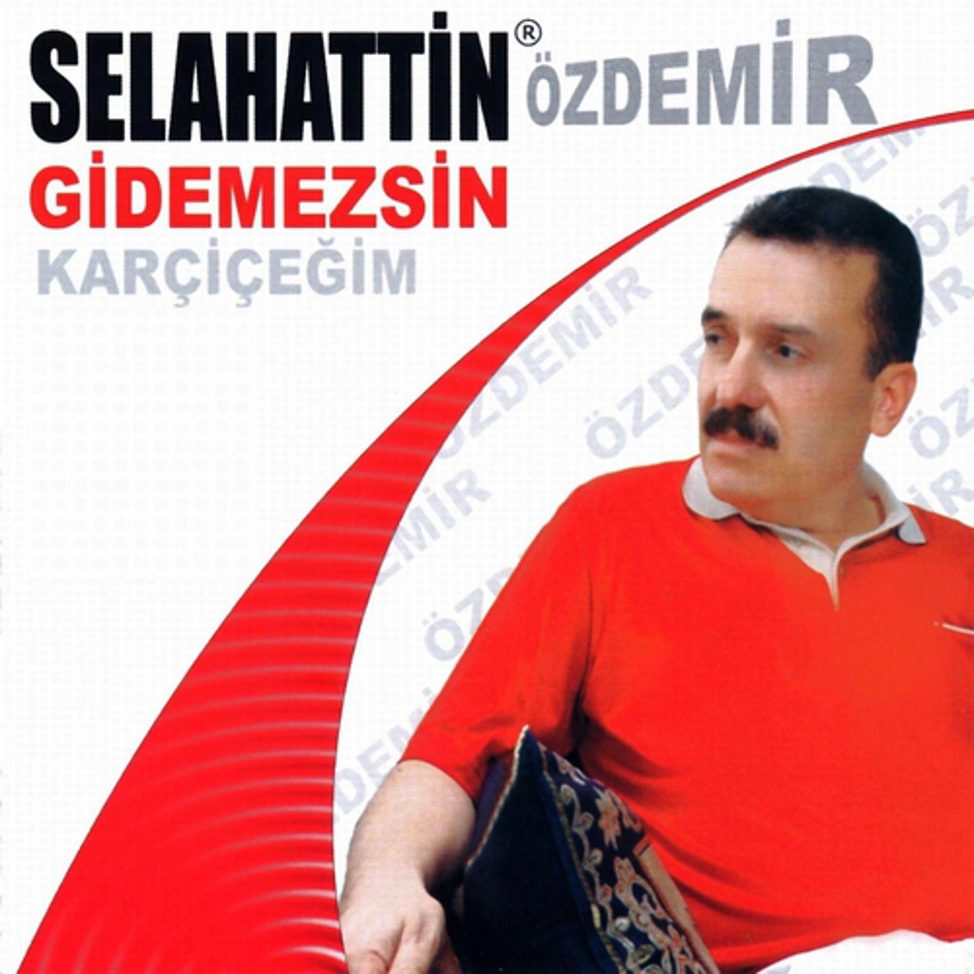 Постер альбома Gidemezsin
