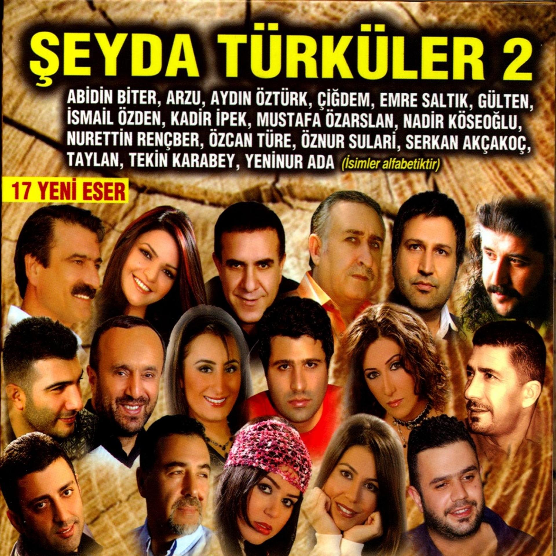 Постер альбома Şeyda Türküler, Vol. 2