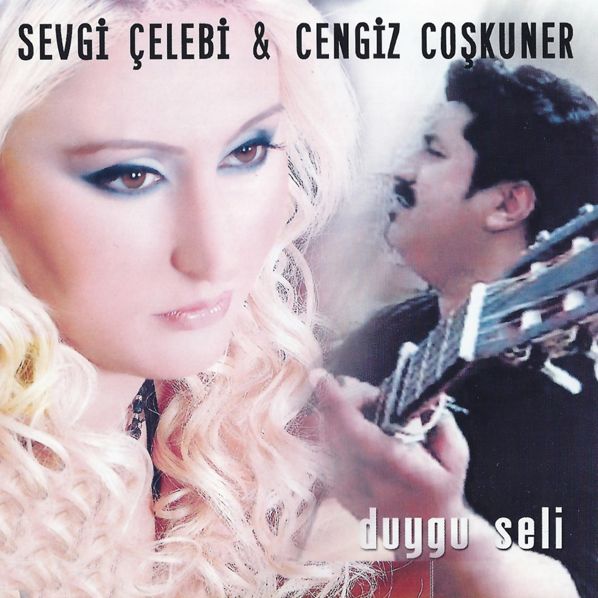 Постер альбома Duygu Seli