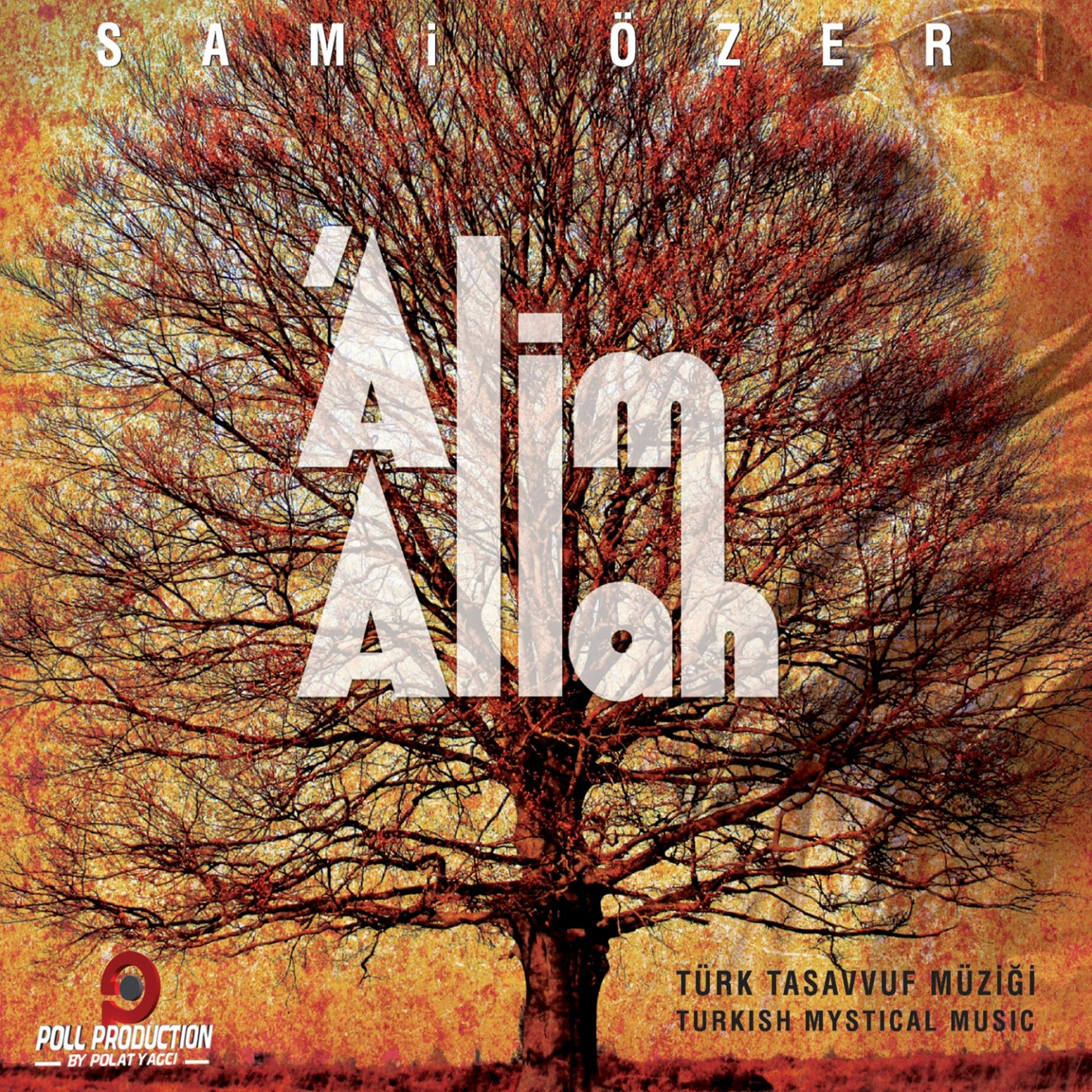 Постер альбома Alim Allah