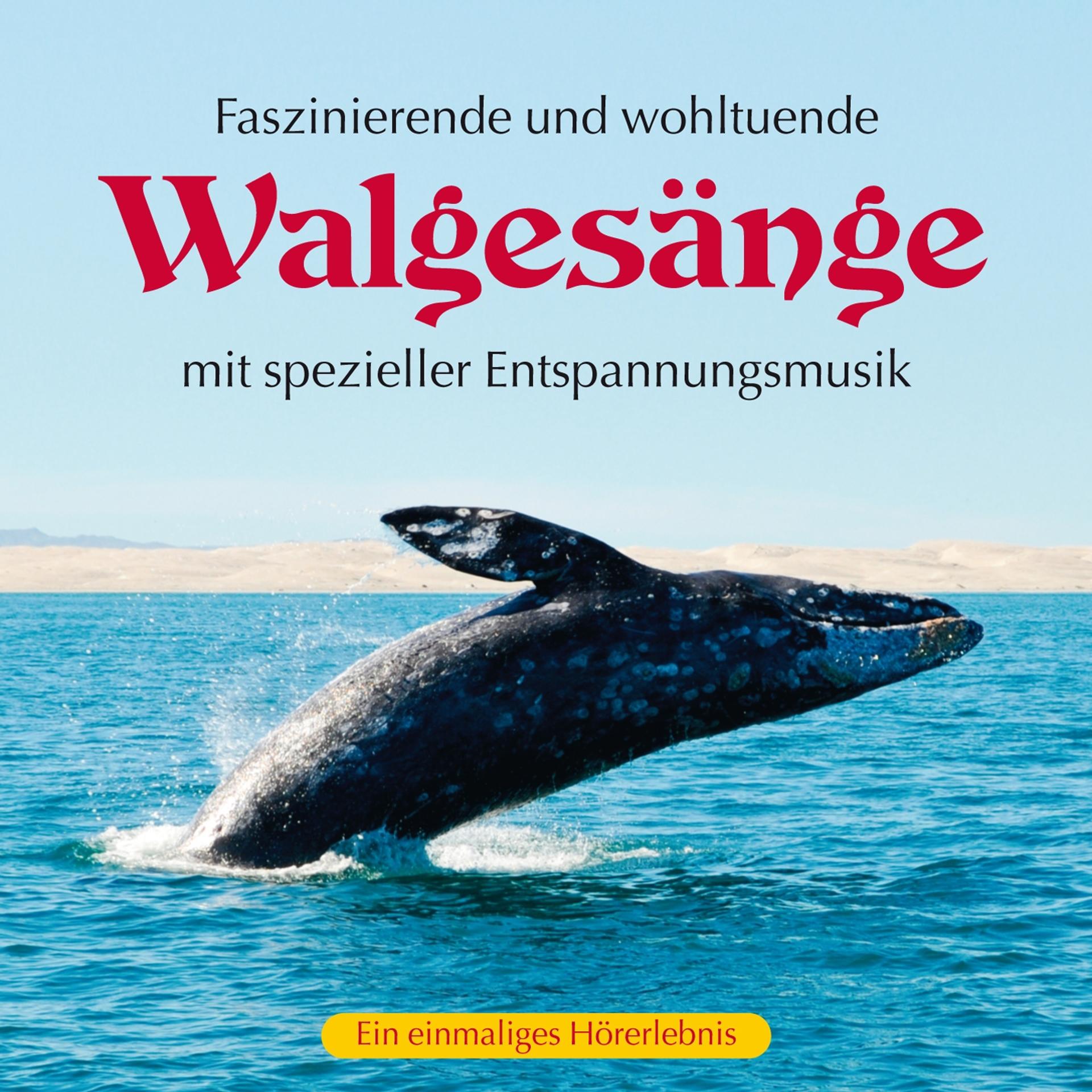 Постер альбома Walgesänge mit spezieller Entspannungsmusik