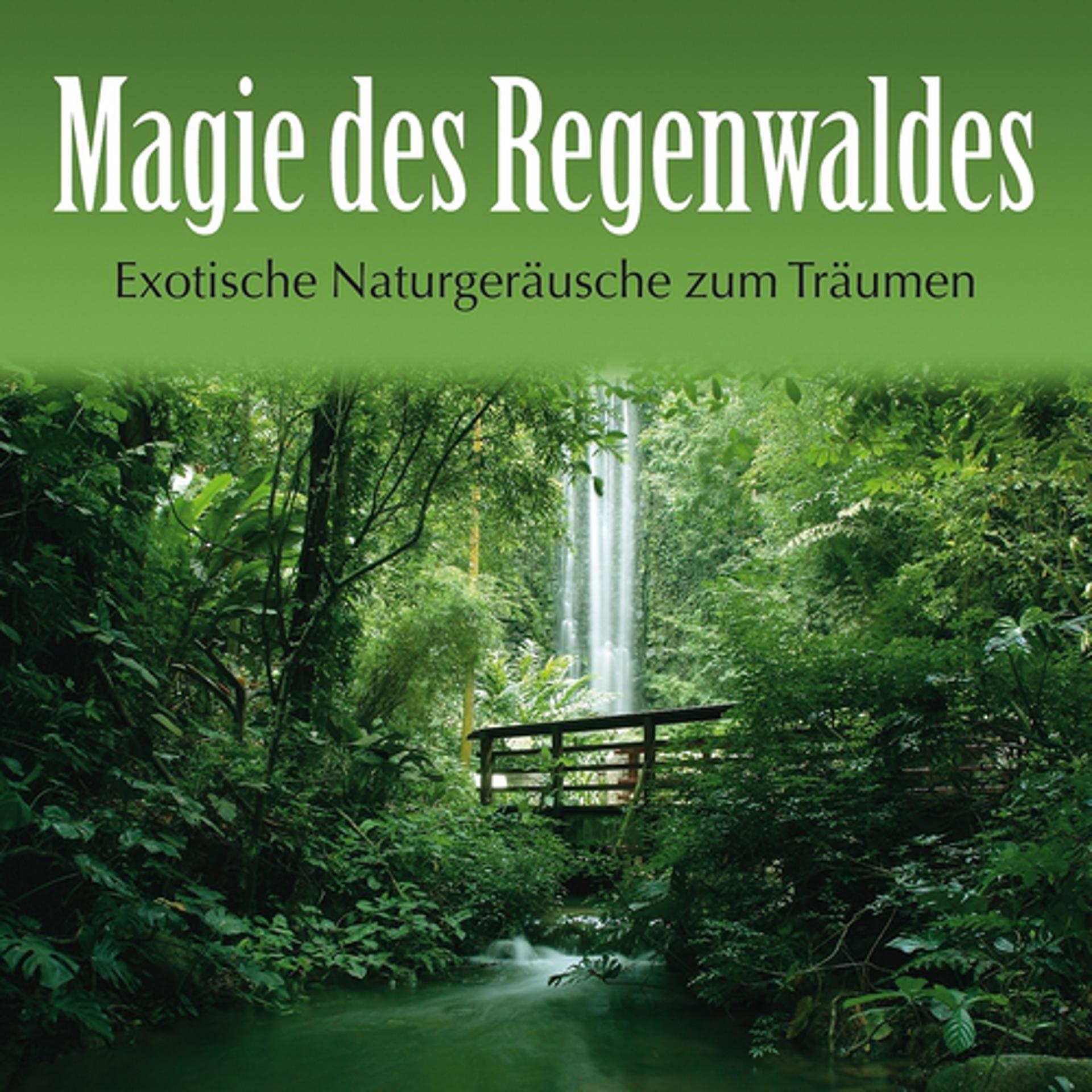 Постер альбома Magie des Regenwaldes: Exotische Naturgeräusche