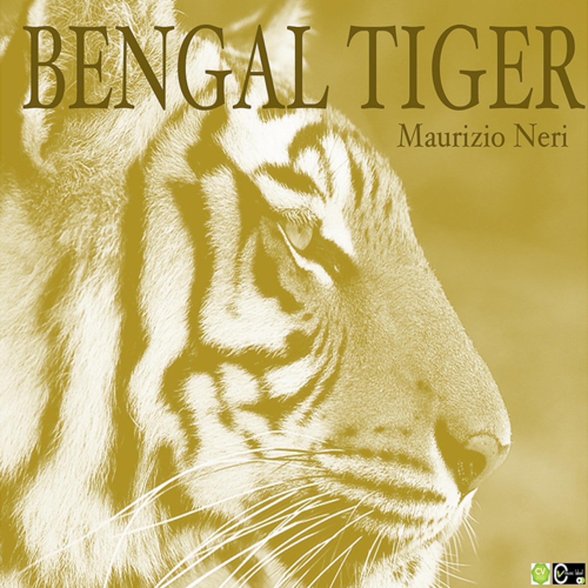 Постер альбома Bengal Tiger