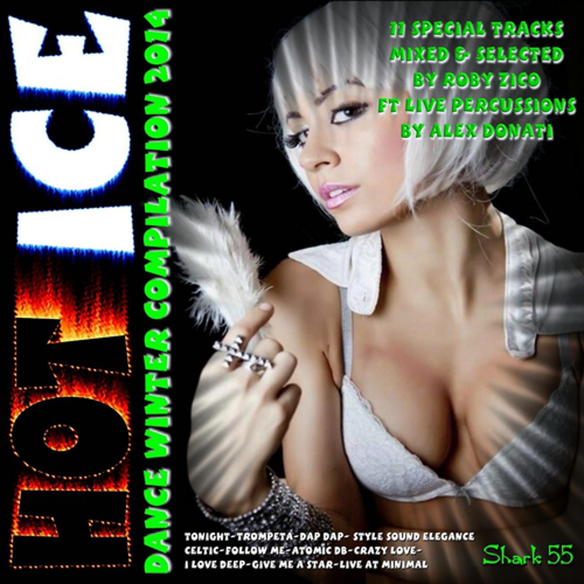Постер альбома Hot Ice: Dance Winter Compilation 2014
