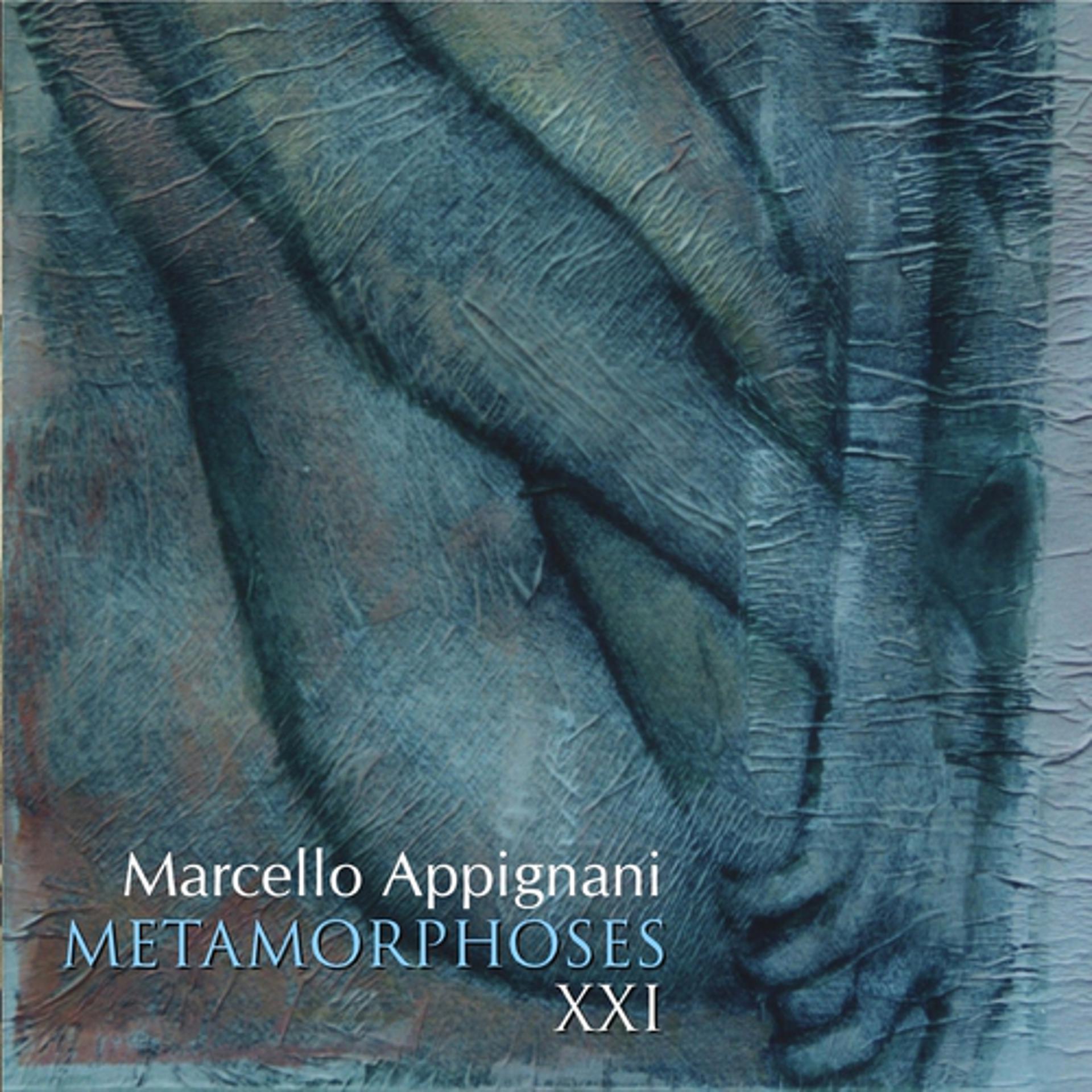 Постер альбома Marcello Appignani: Metamorphoses XXI