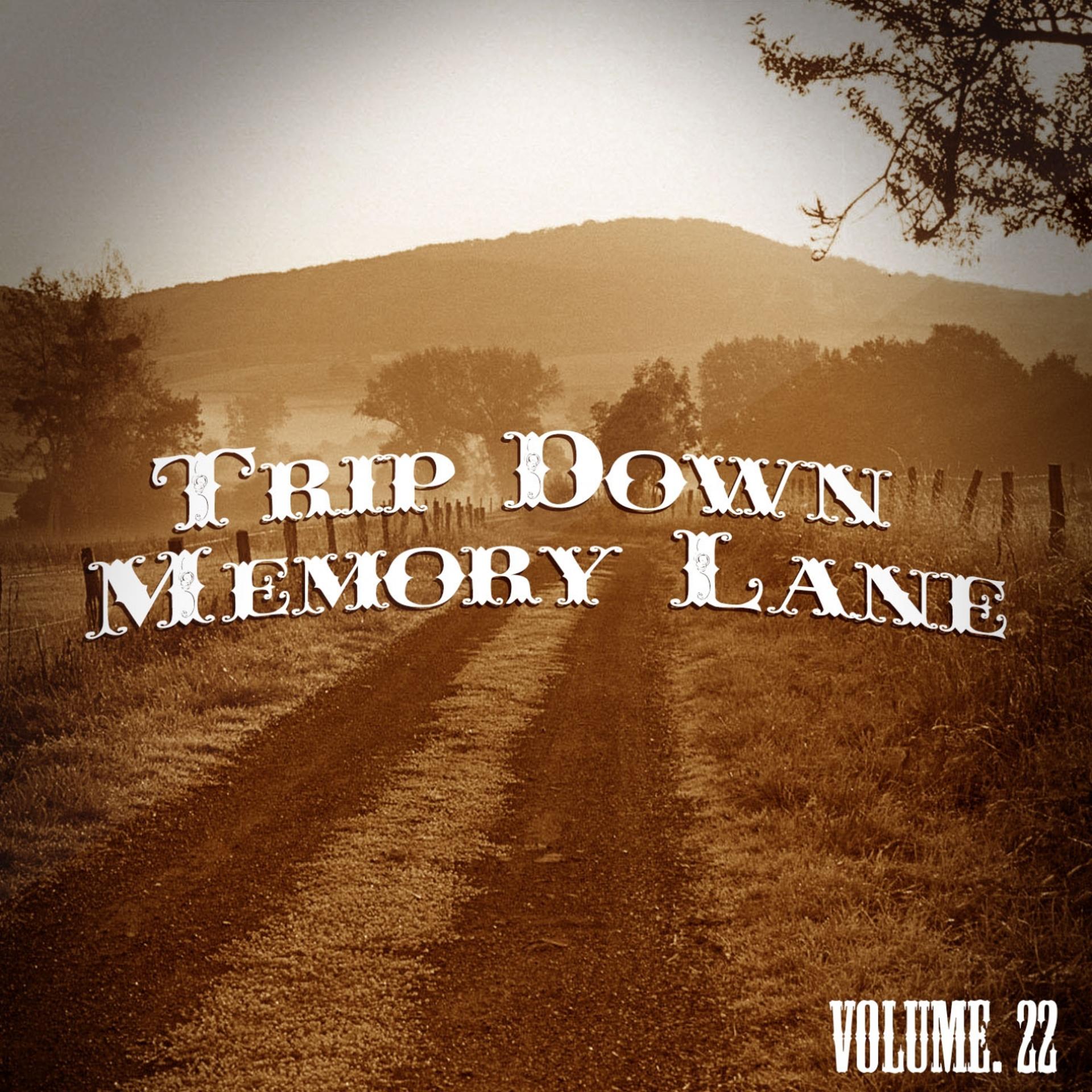 Постер альбома Trip Down Memory Lane, Vol. 22