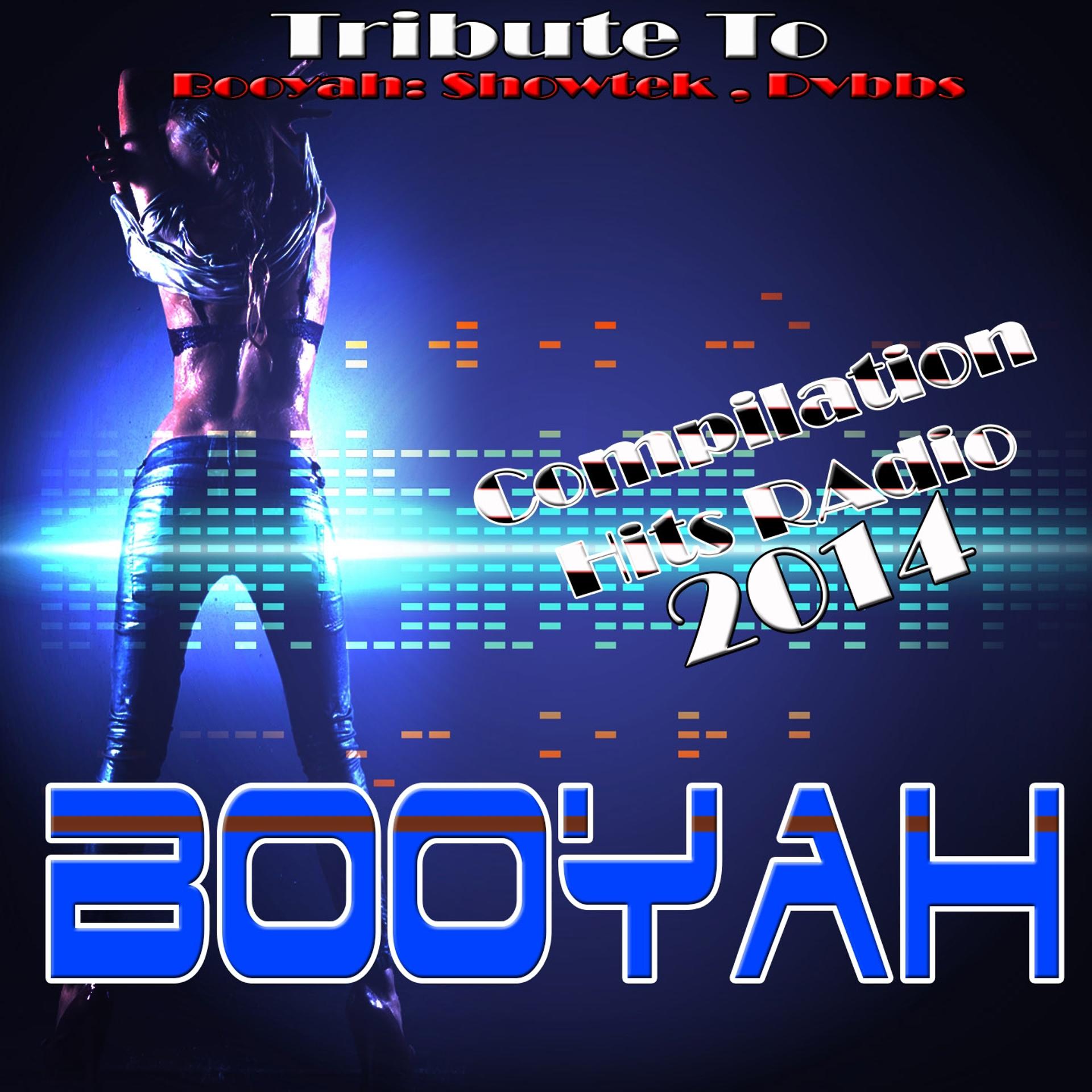 Постер альбома Booyah: Tribute to Showtek, Dvbbs