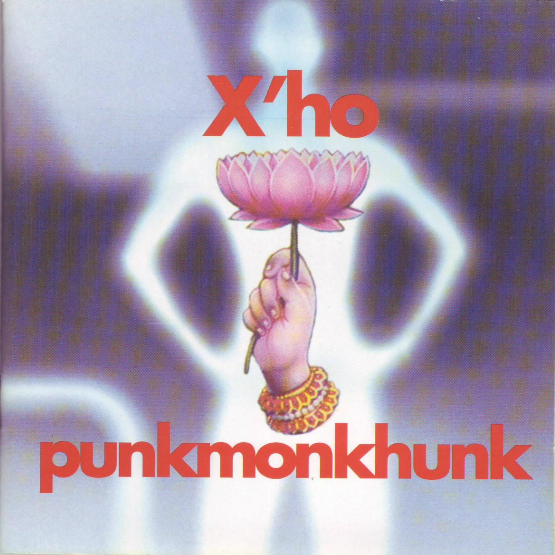 Постер альбома Punkmonkhunk