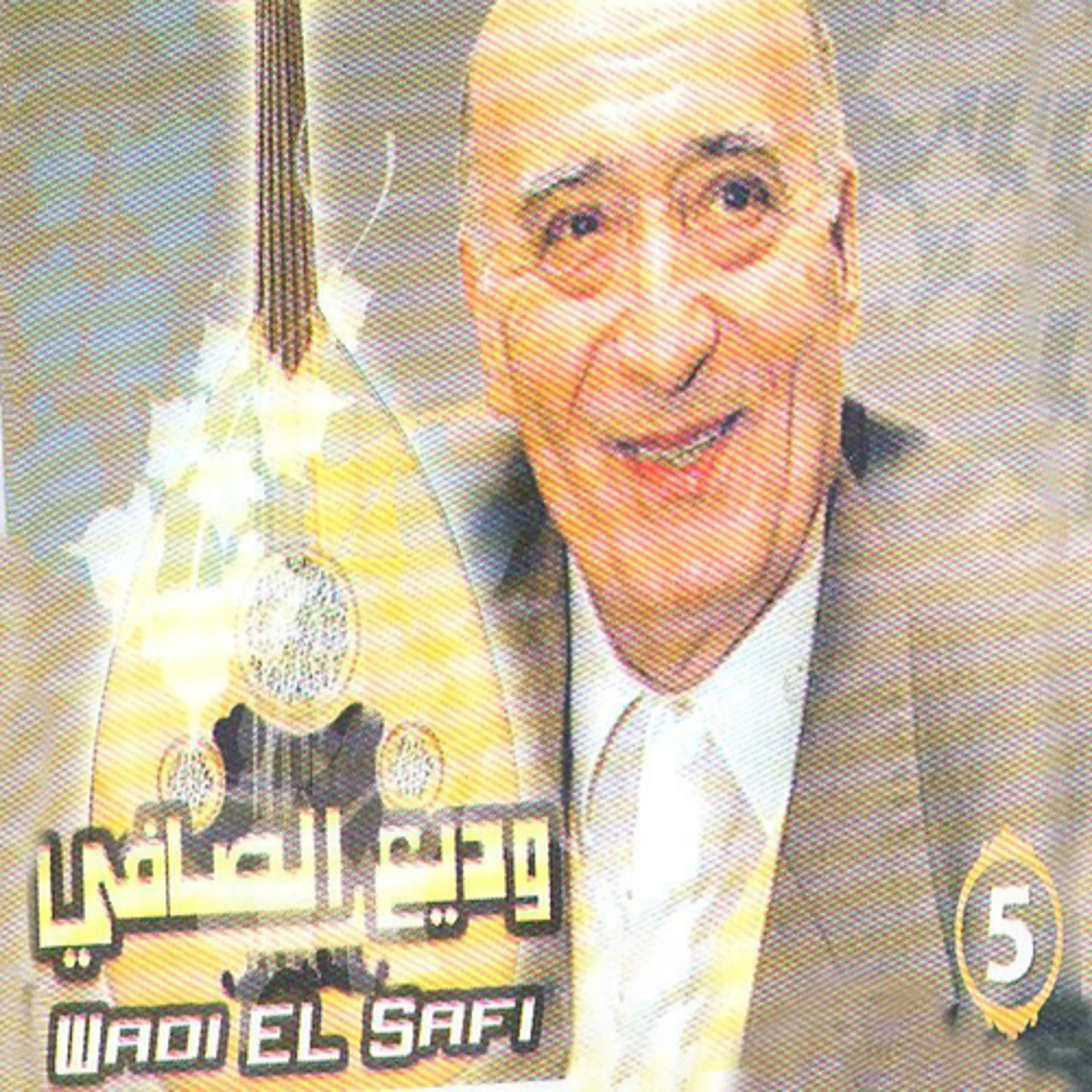 Постер альбома Wadi El Safi, vol. 5