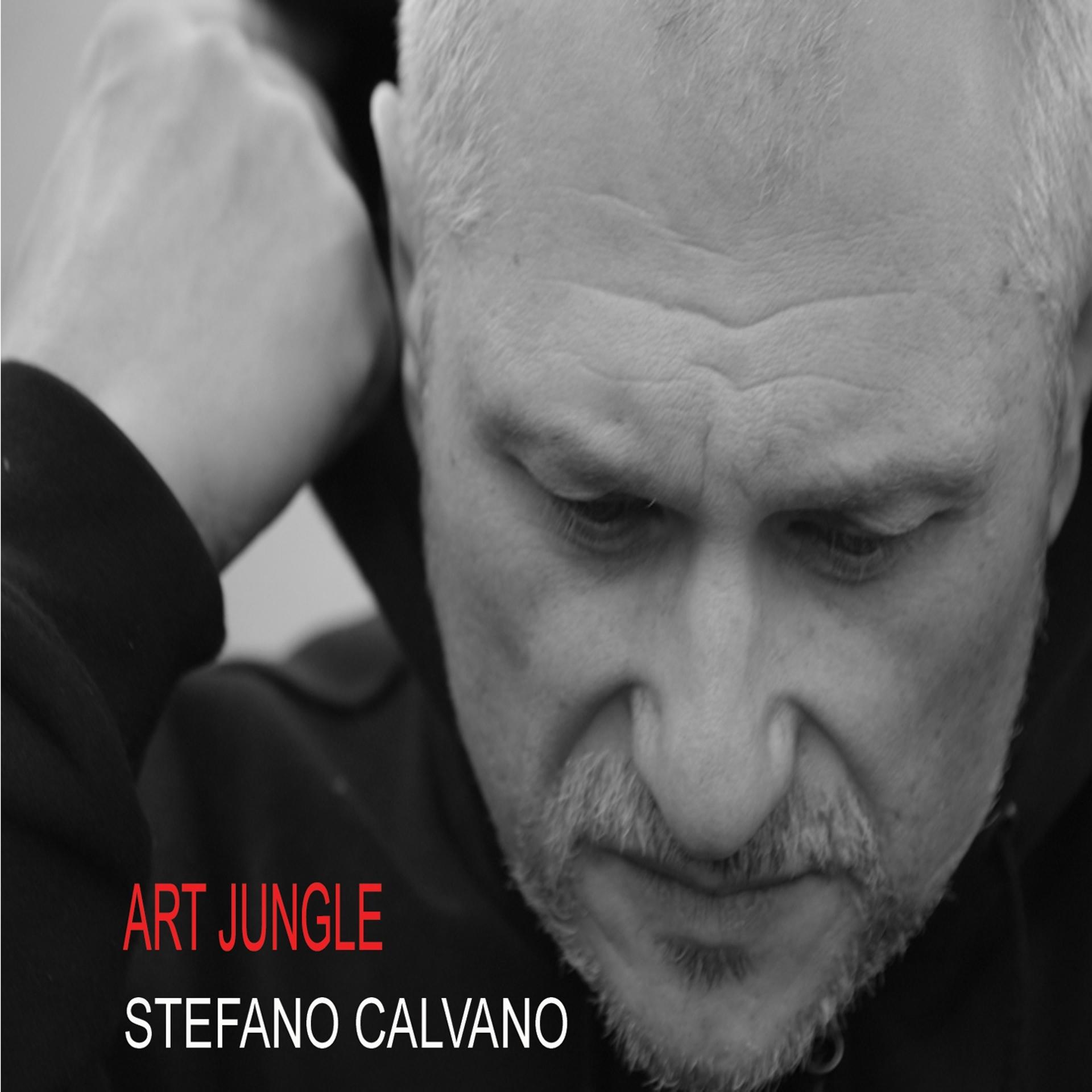 Постер альбома Art Jungle
