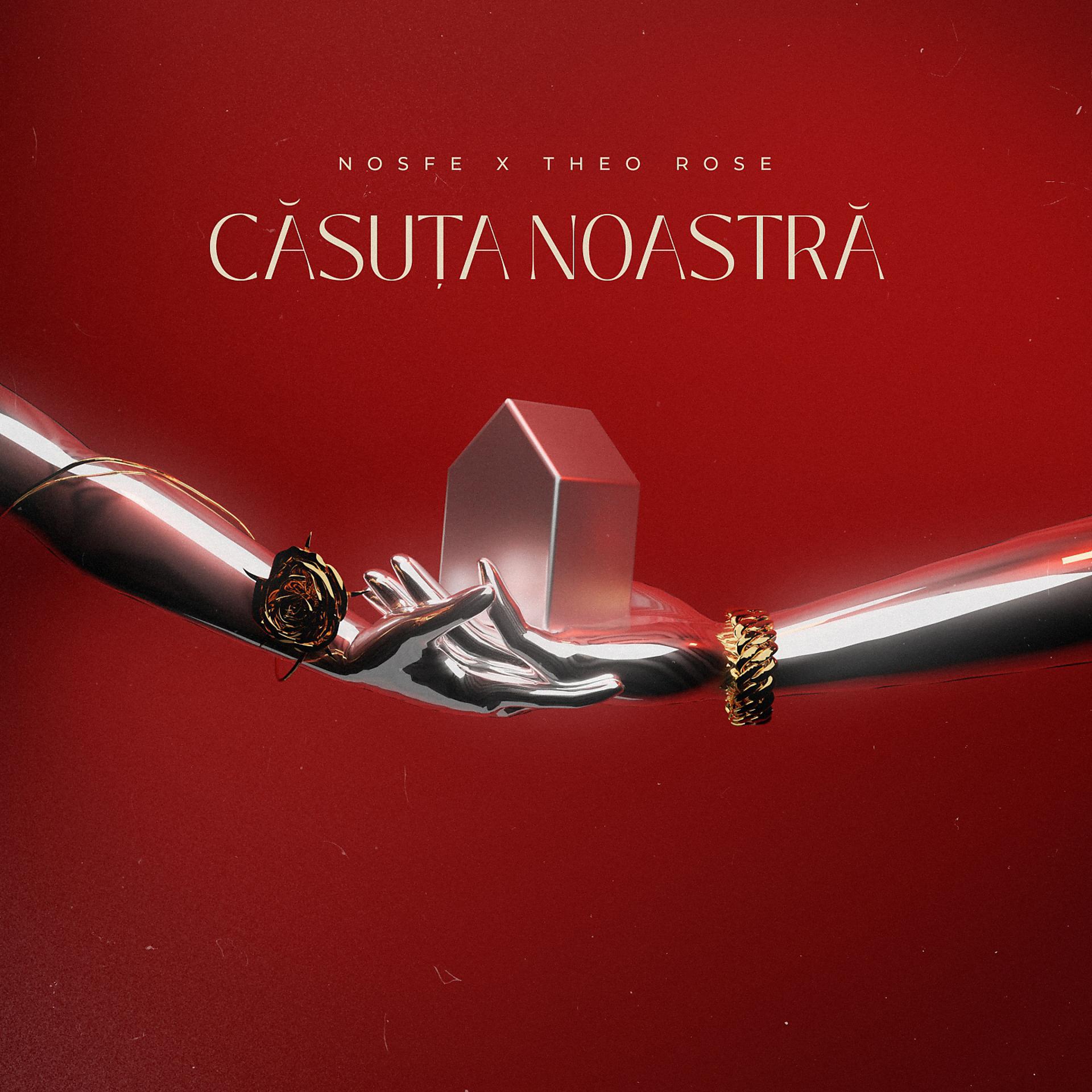 Постер альбома Casuta Noastra