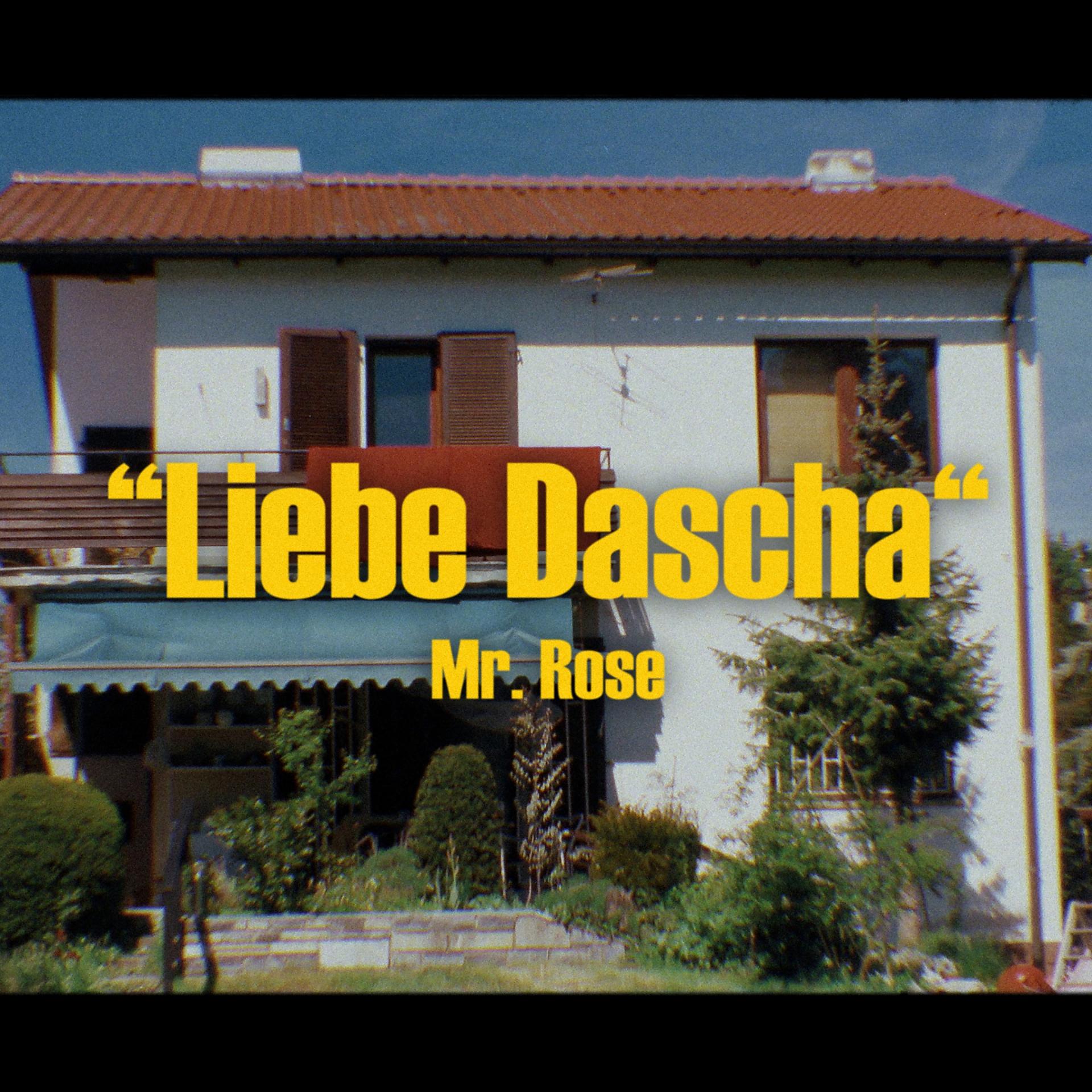 Постер альбома Liebe Dascha