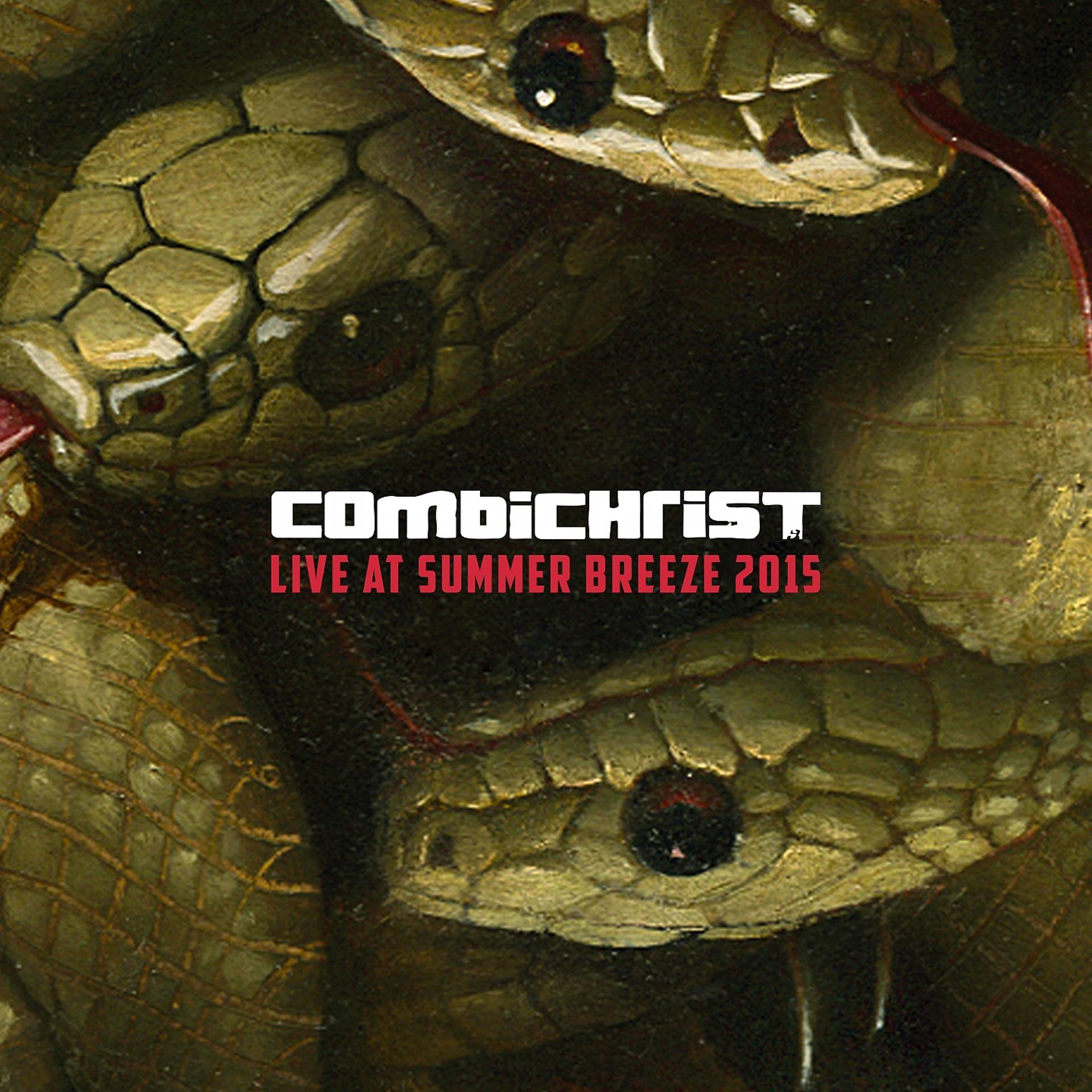 Постер к треку Combichrist - What the F**k Is Wrong With You? (Live at Summer Breeze)