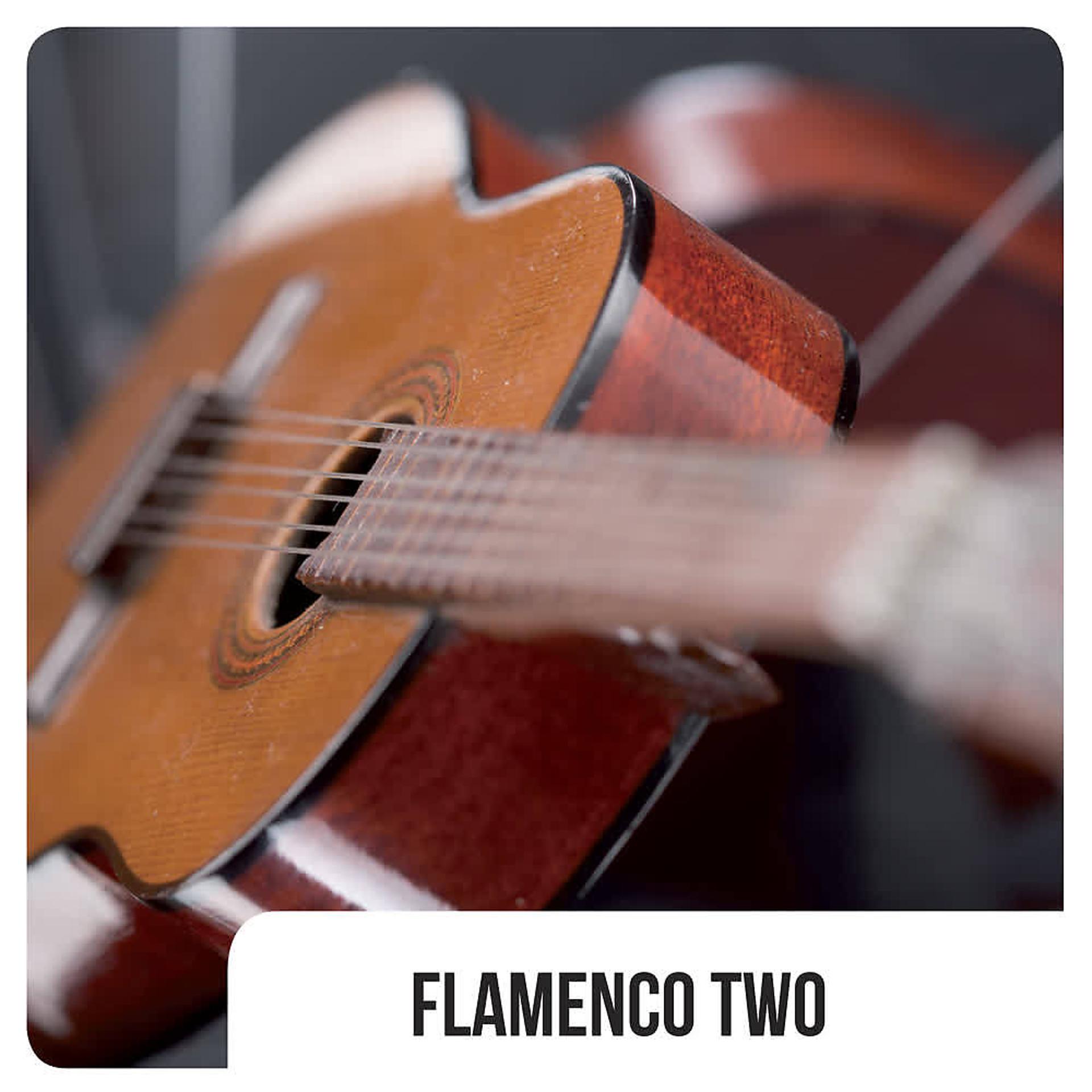 Постер альбома Flamenco Two