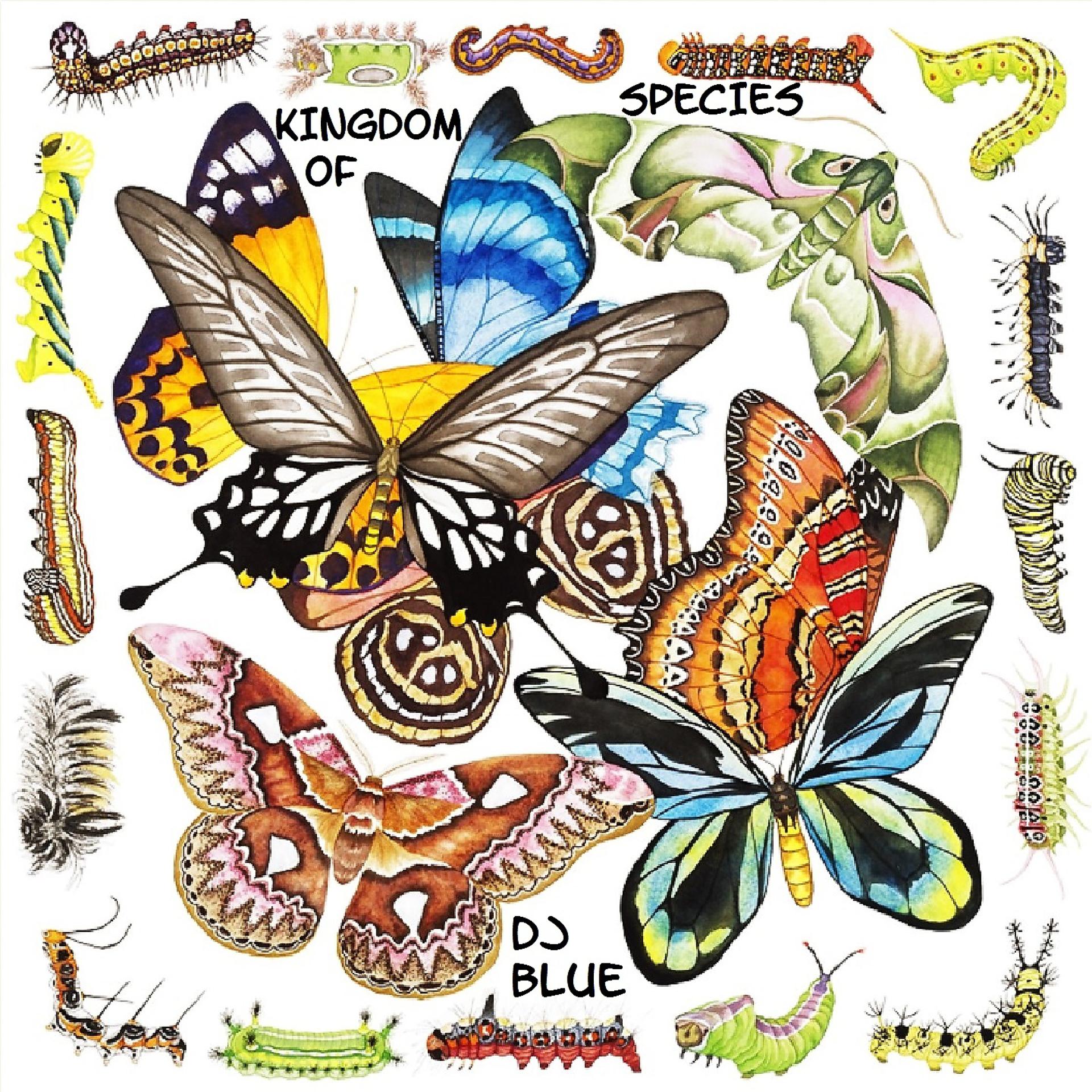 Постер альбома Kingdom of Species