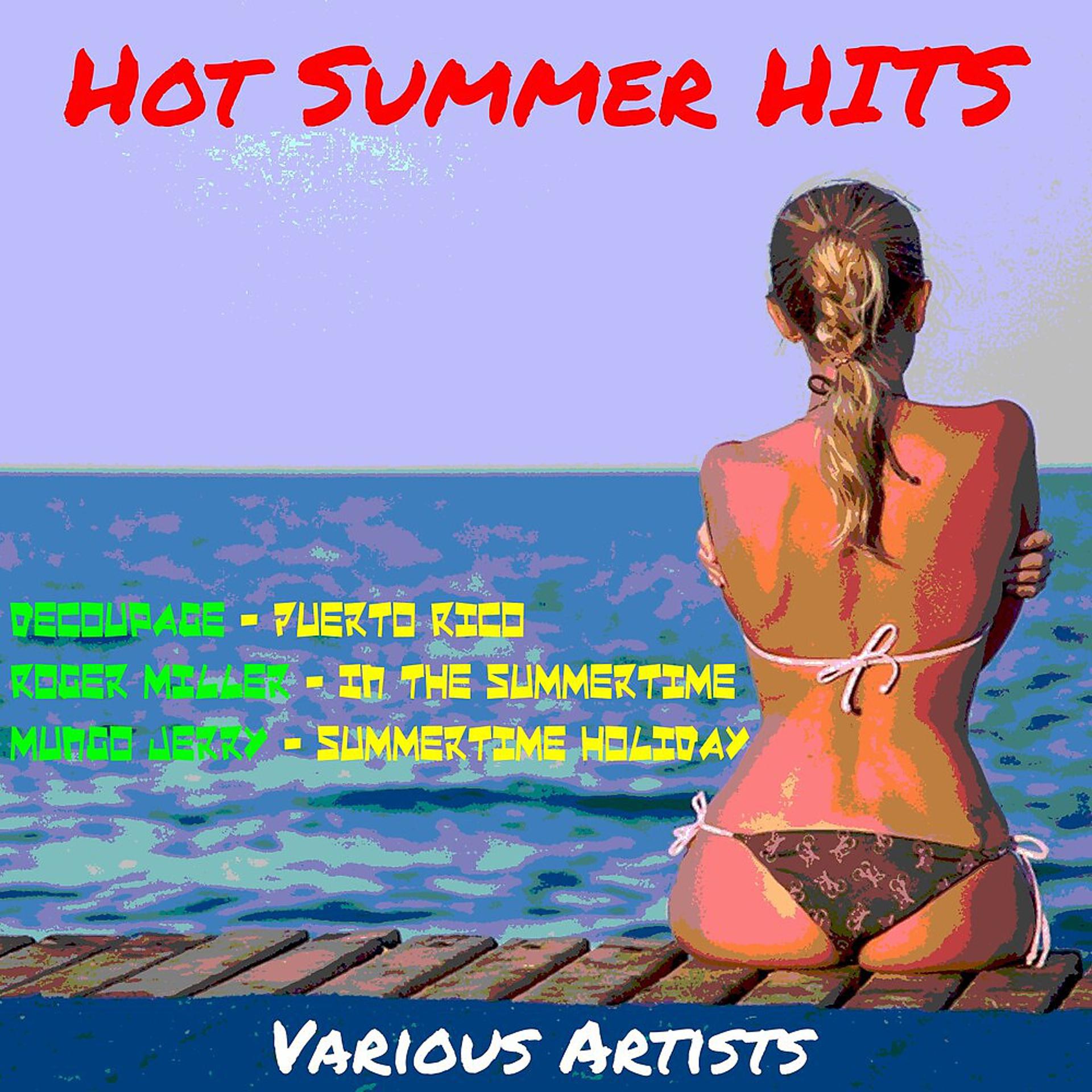 Постер альбома Hot Summer Hits