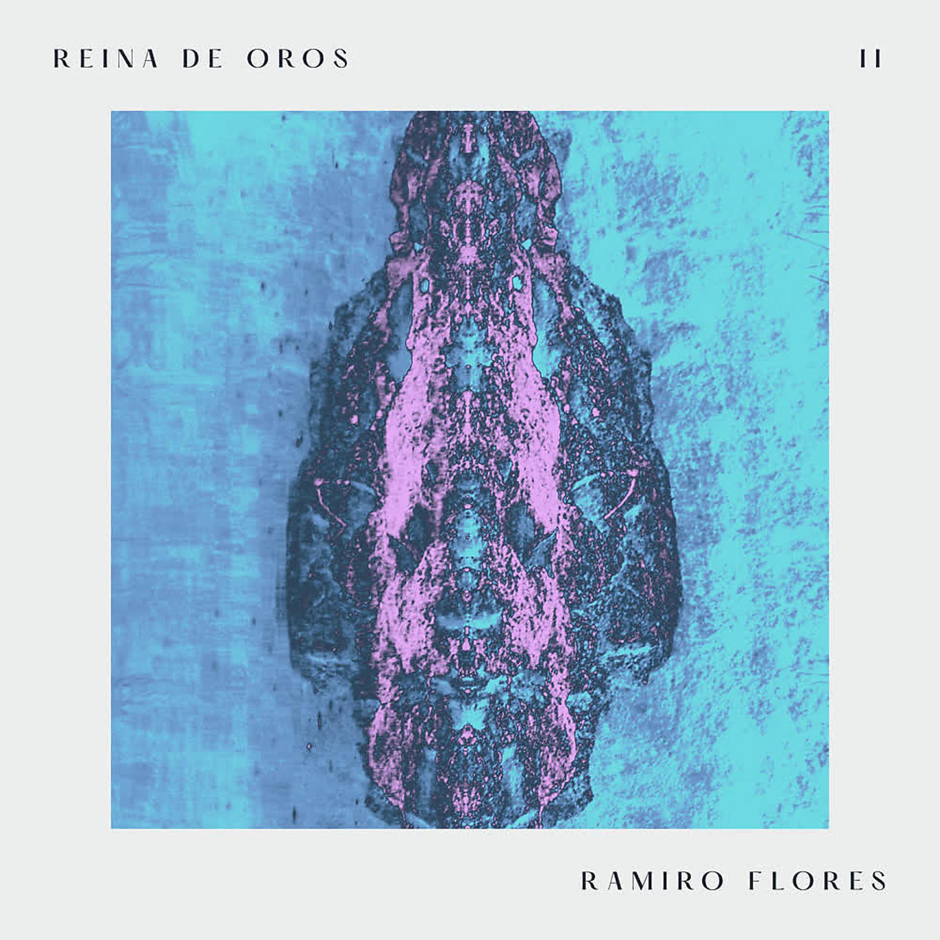 Постер альбома Reina de Oros