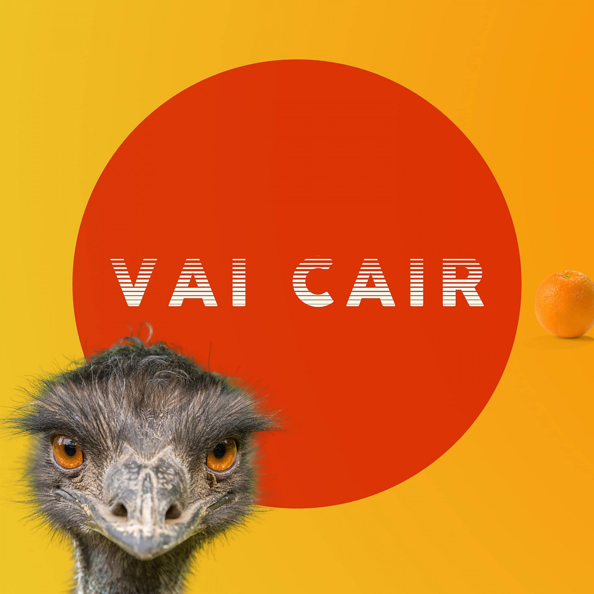 Постер альбома Vai Cair