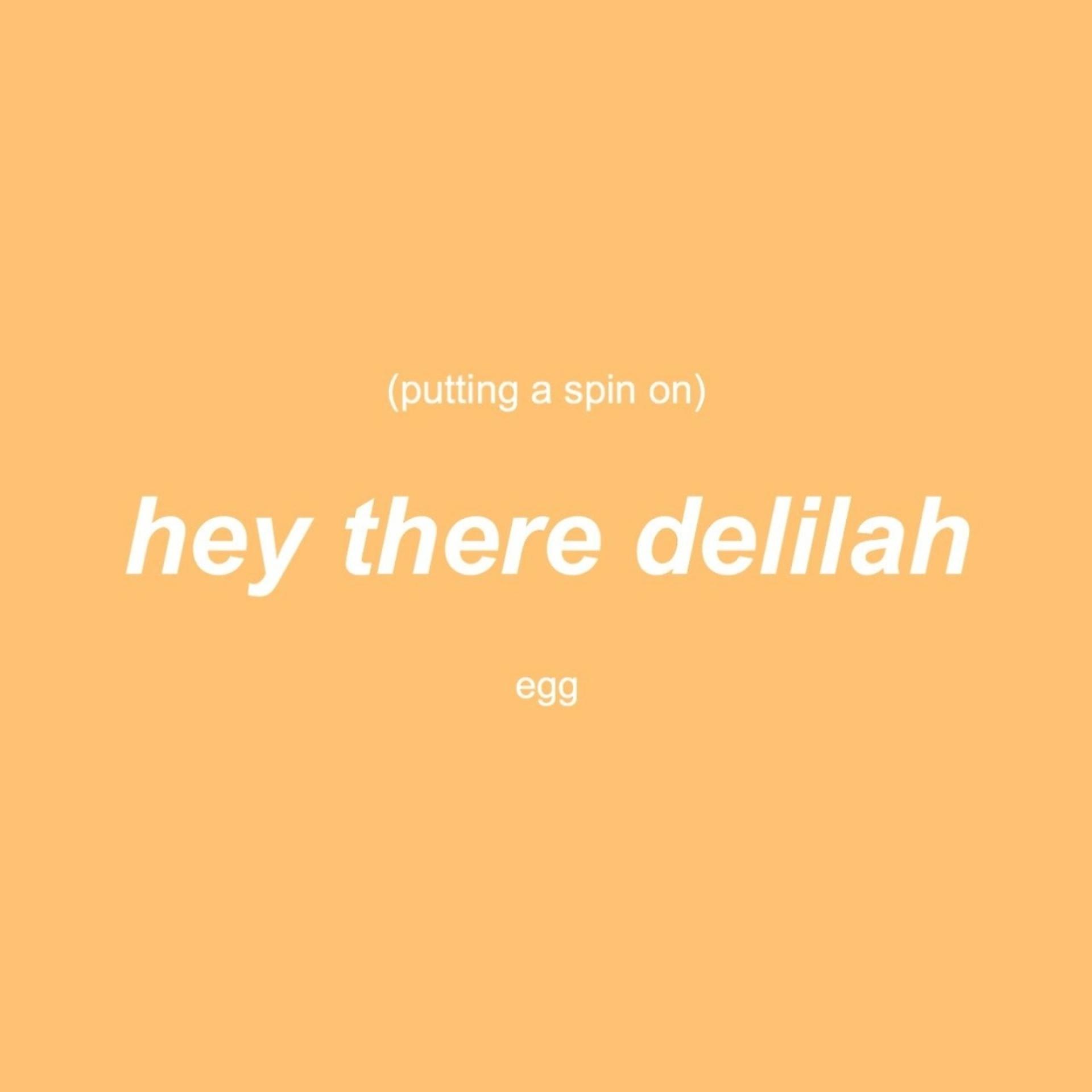 Постер альбома Putting a Spin on Hey There Delilah