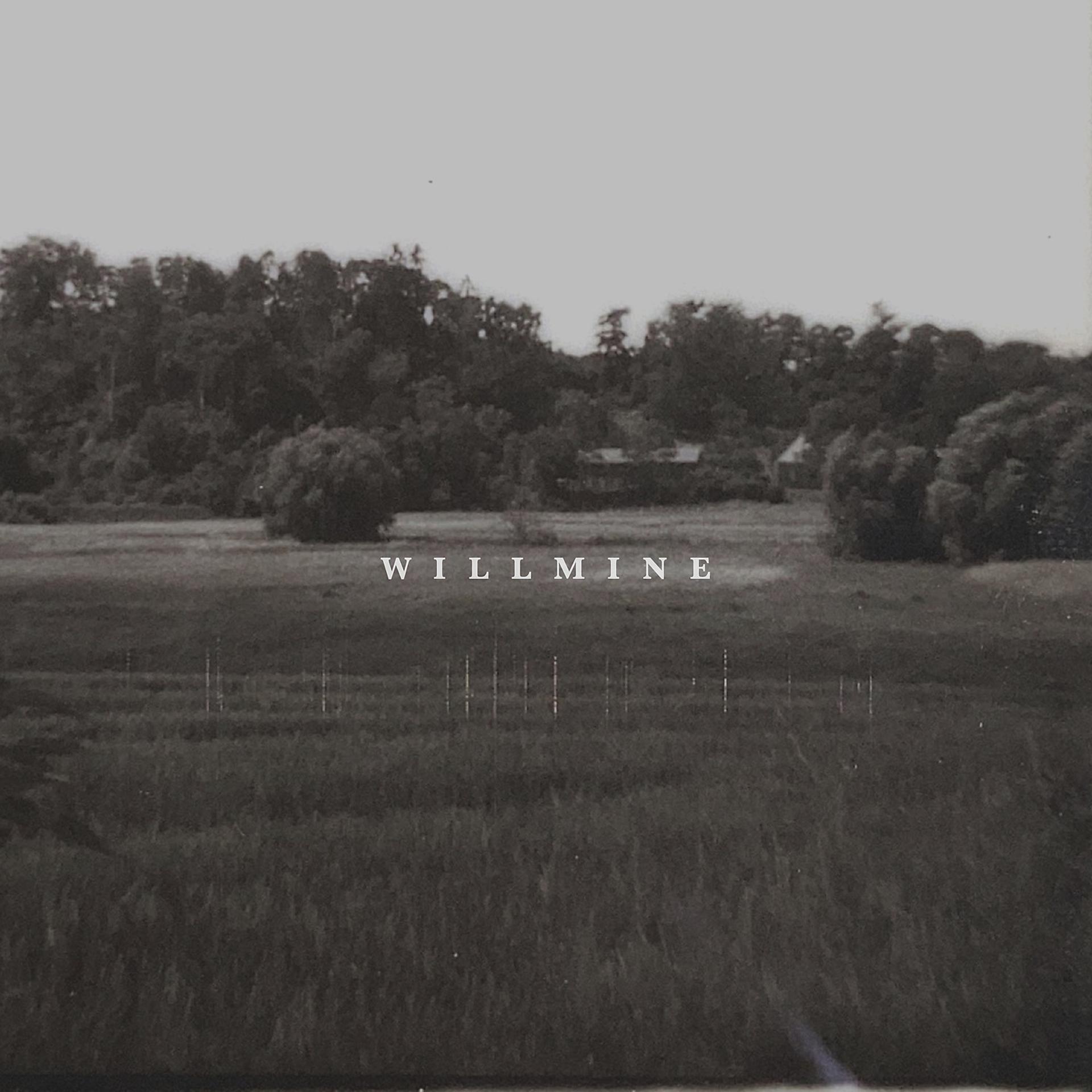 Постер альбома Willmine