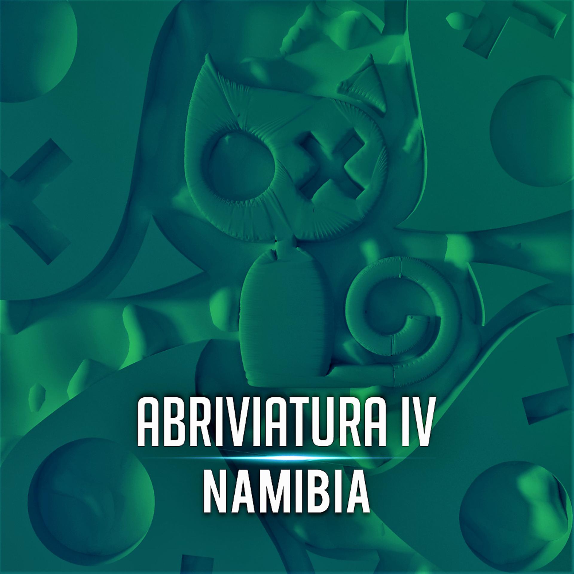 Постер альбома Namibia