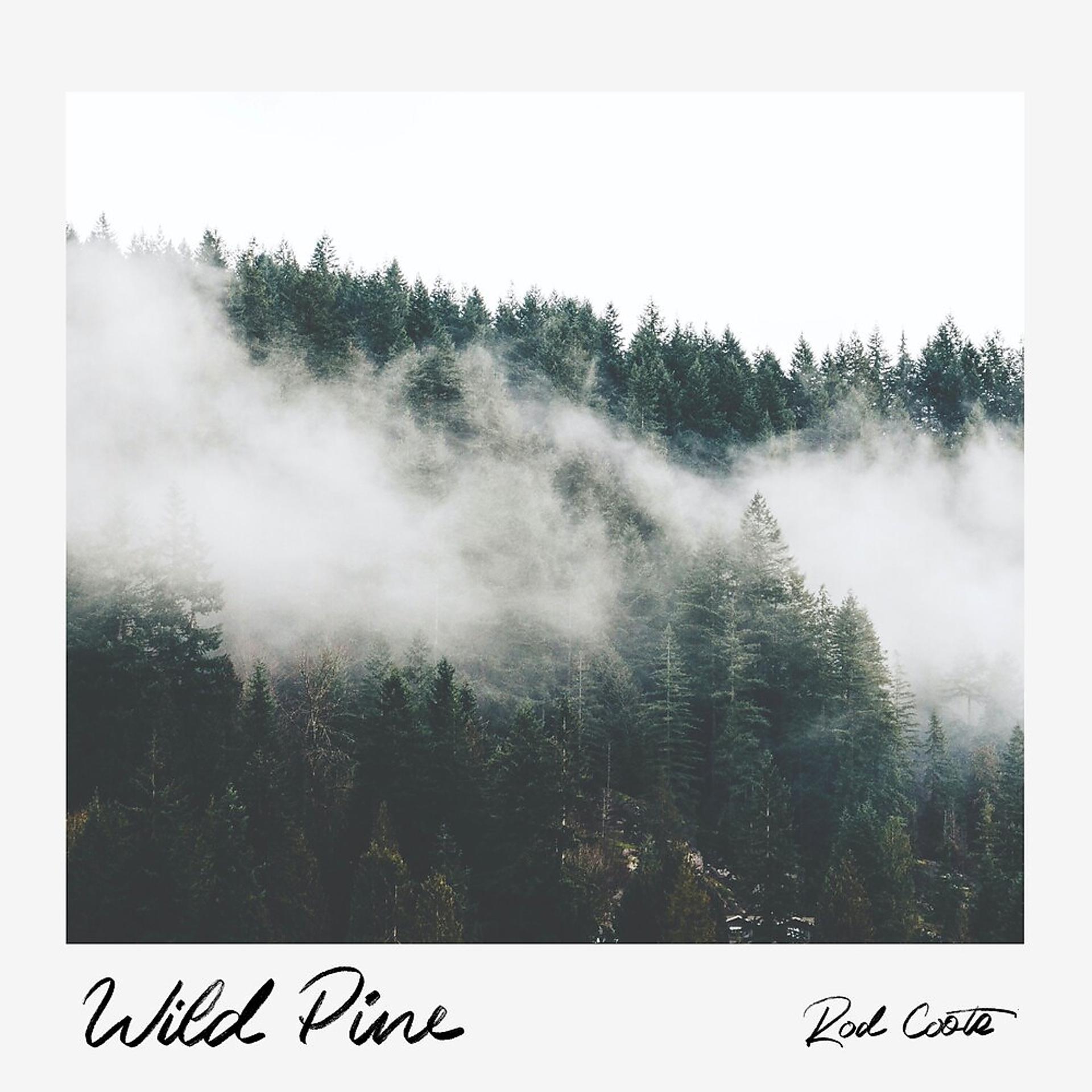 Постер альбома Wild Pine